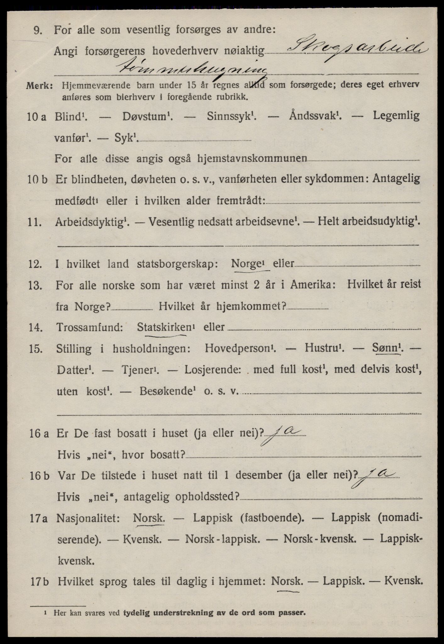 SAT, 1920 census for Hemne, 1920, p. 1805