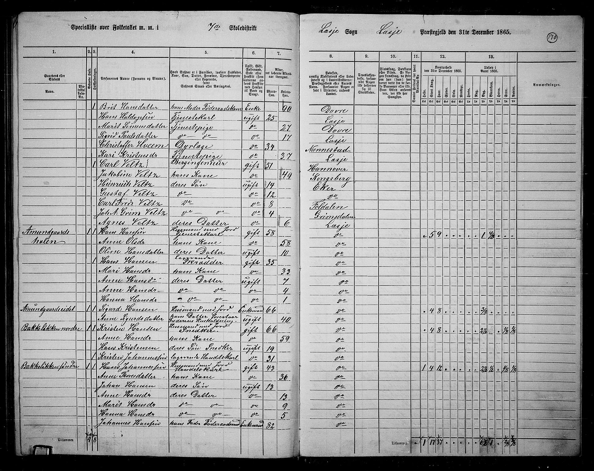 RA, 1865 census for Lesja, 1865, p. 157