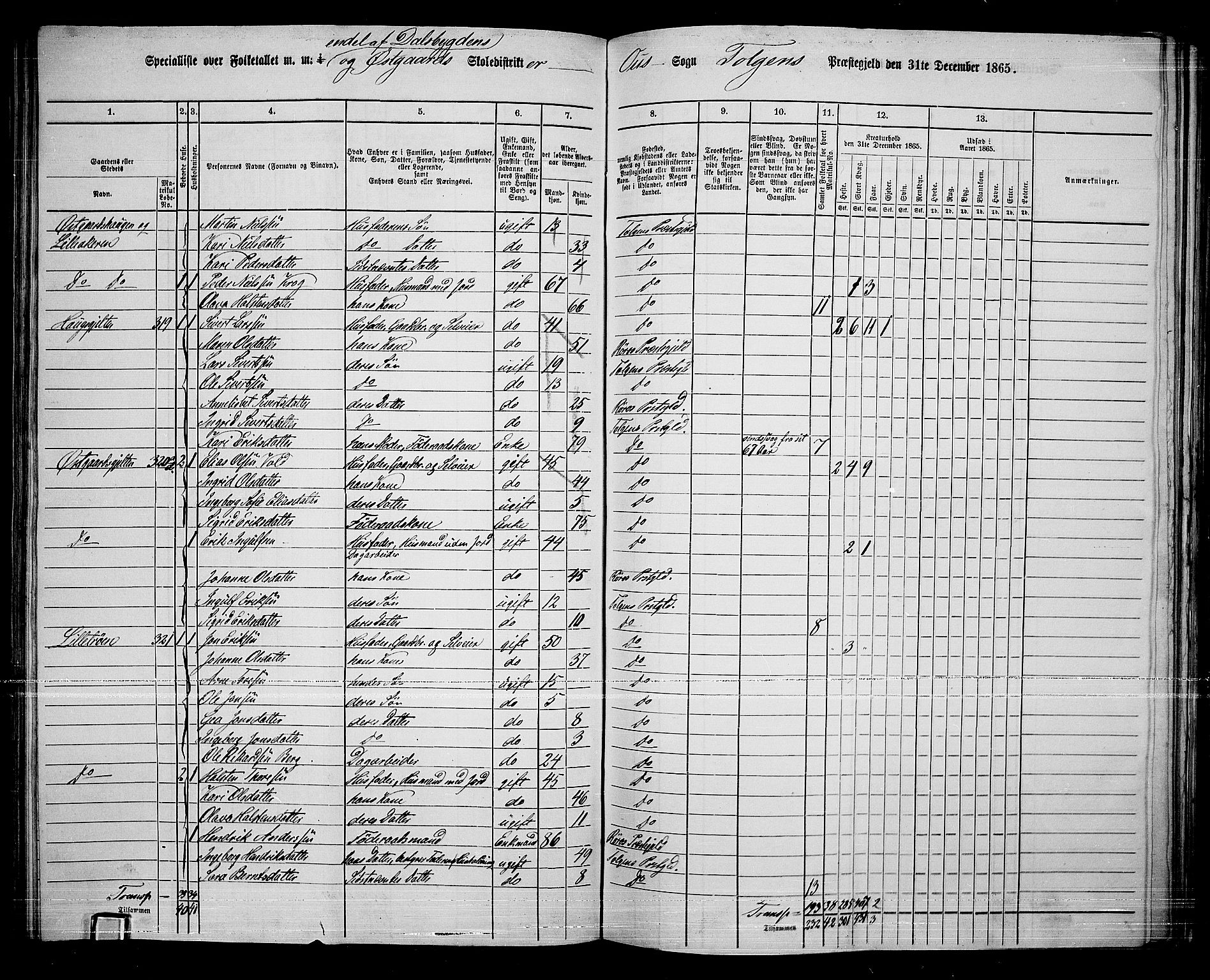 RA, 1865 census for Tolga, 1865, p. 114