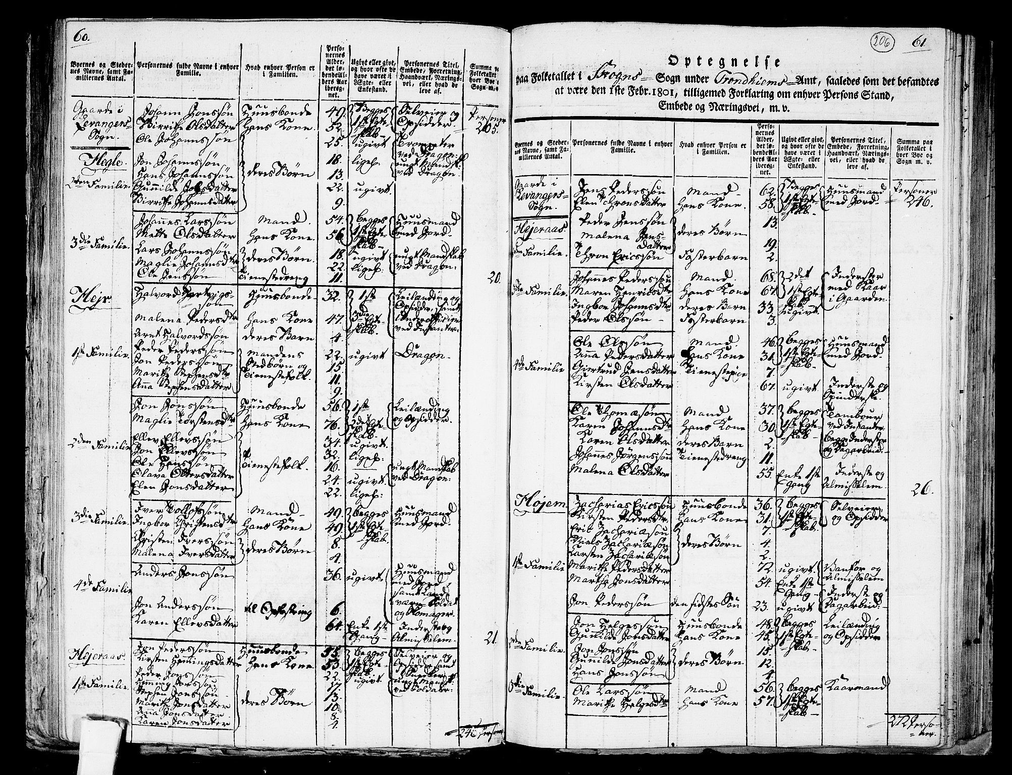 RA, 1801 census for 1719P Skogn, 1801, p. 205b-206a