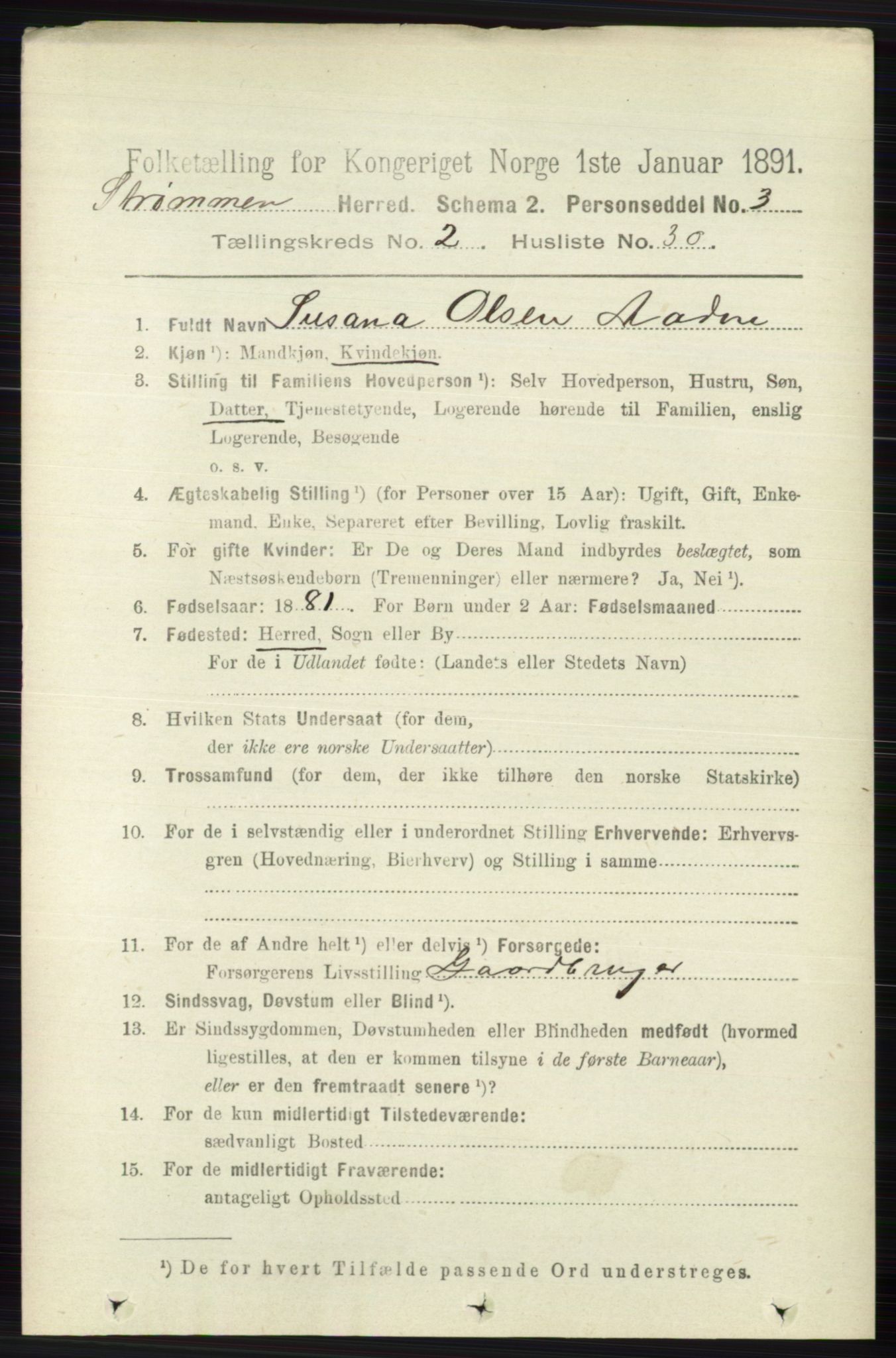 RA, 1891 census for 0711 Strømm, 1891, p. 870