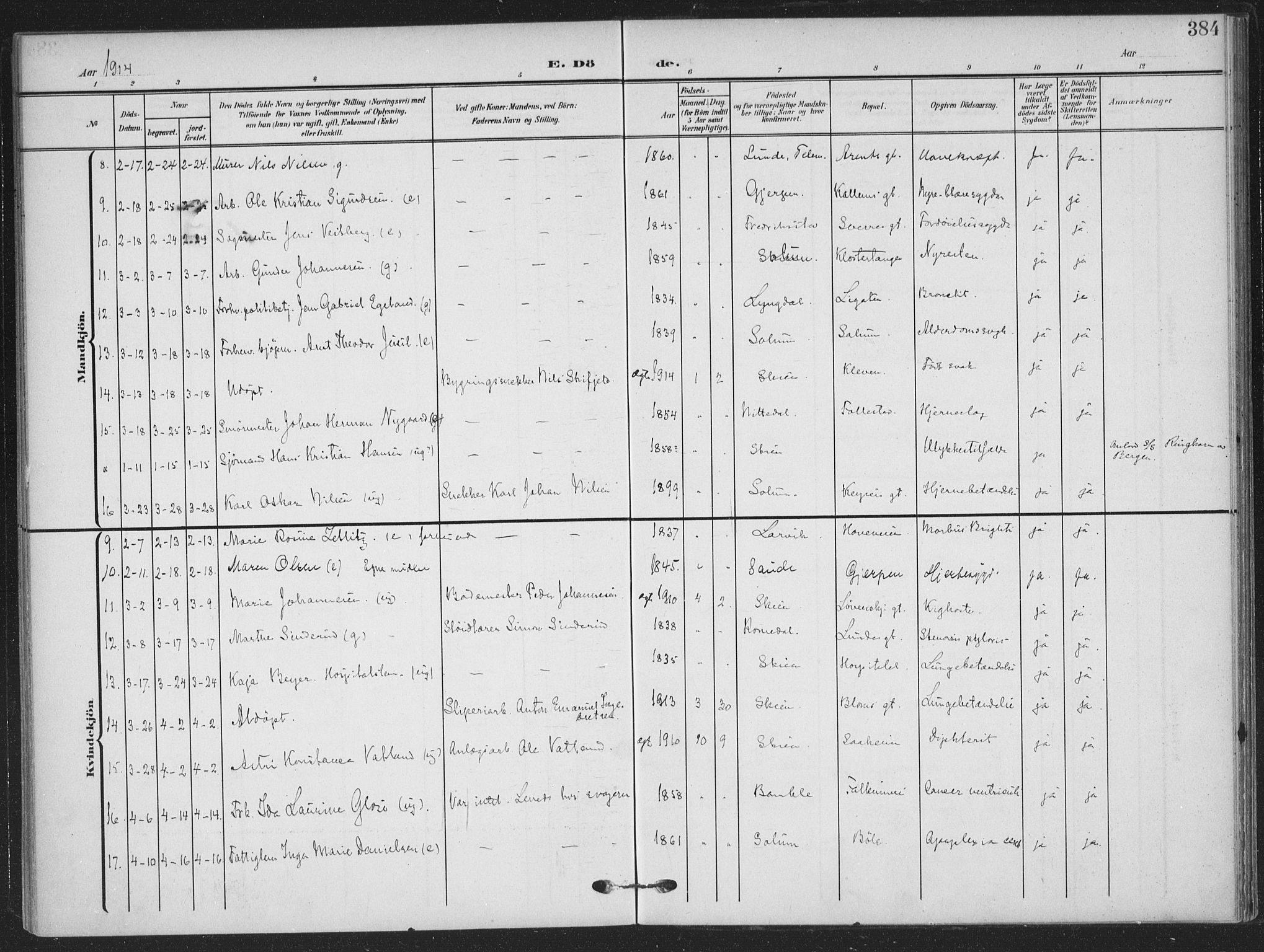 Skien kirkebøker, SAKO/A-302/F/Fa/L0012: Parish register (official) no. 12, 1908-1914, p. 384