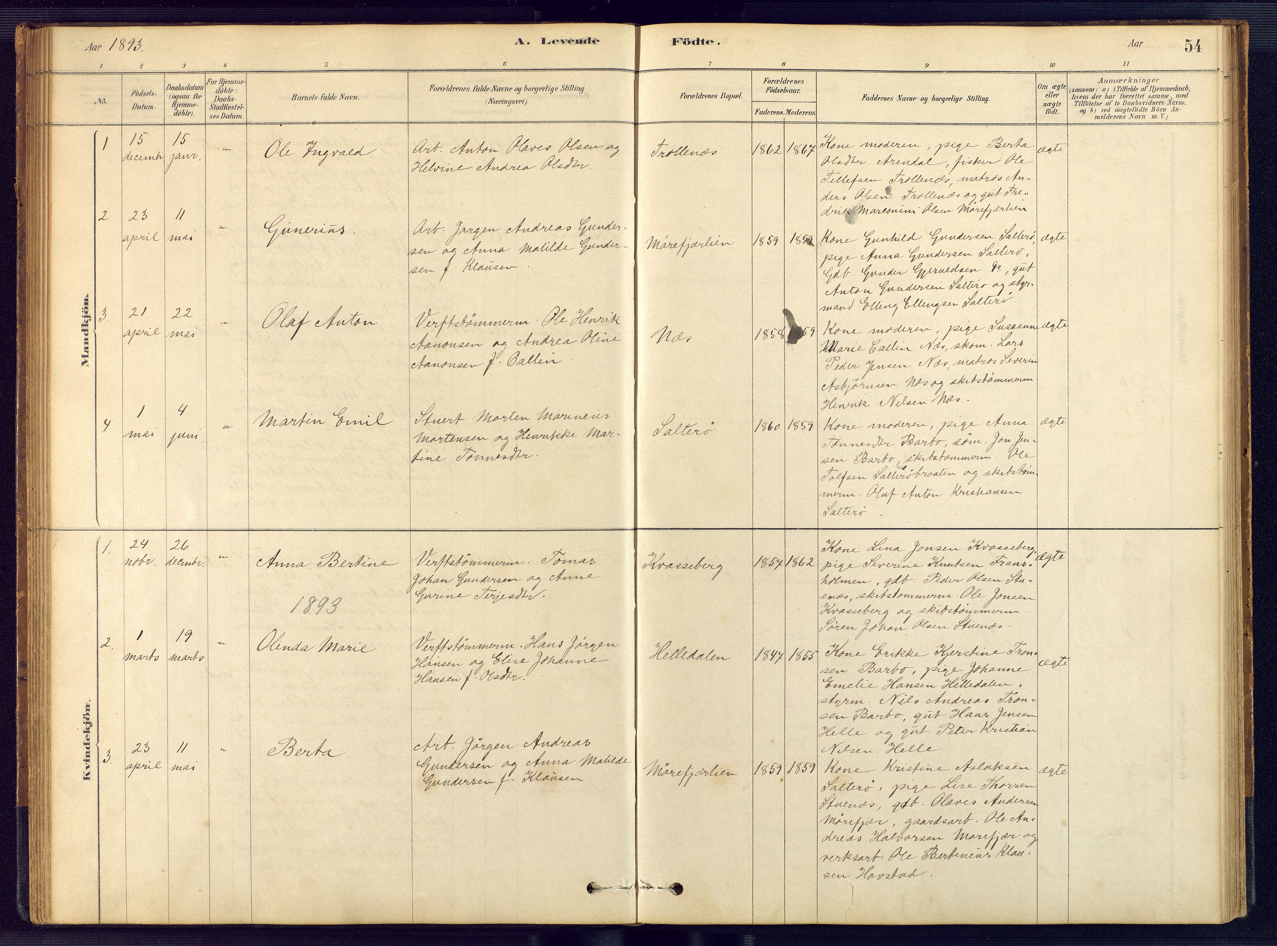 Austre Moland sokneprestkontor, SAK/1111-0001/F/Fb/Fbb/L0001: Parish register (copy) no. B 1, 1878-1904, p. 54