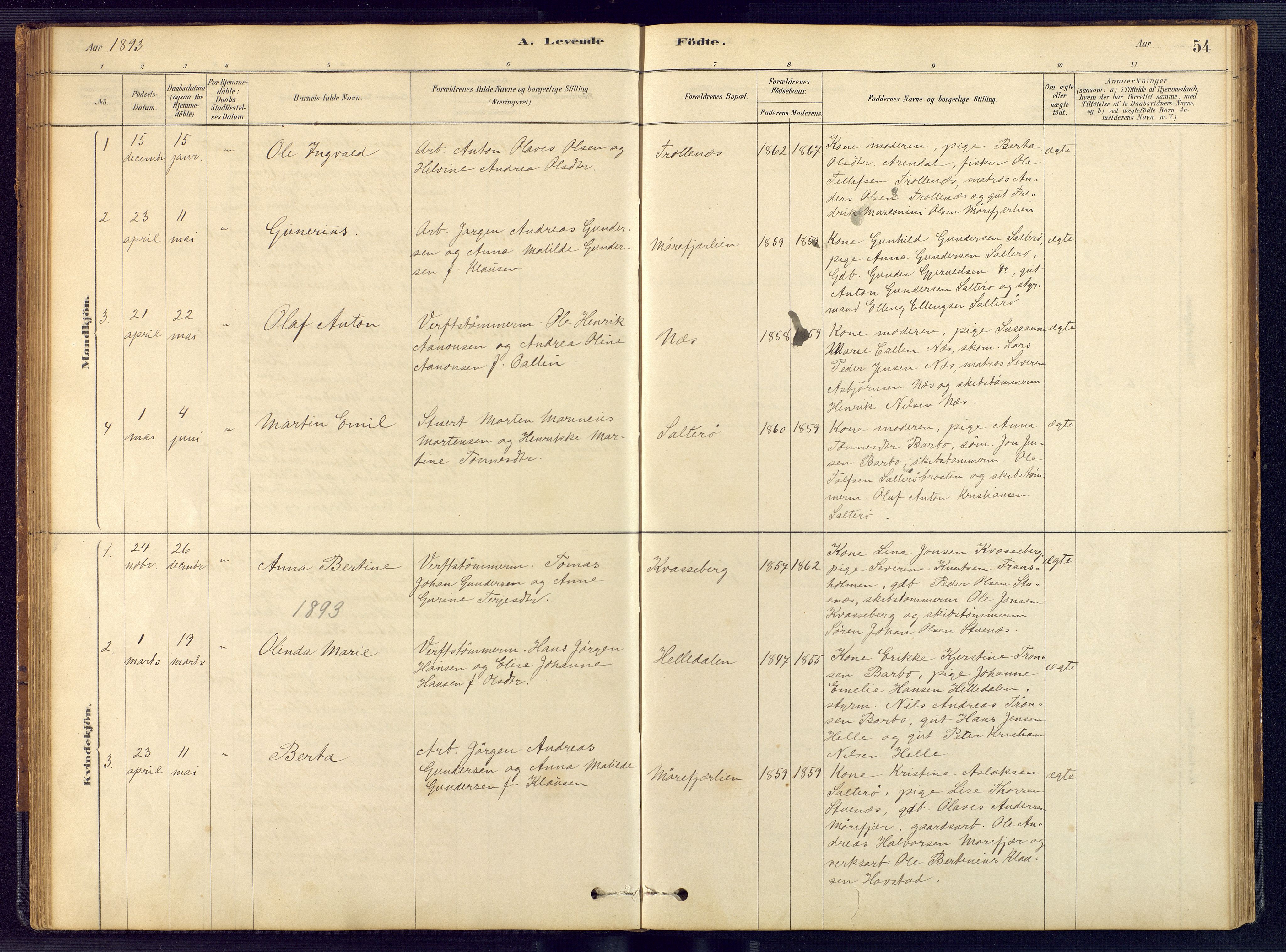 Austre Moland sokneprestkontor, AV/SAK-1111-0001/F/Fb/Fbb/L0001: Parish register (copy) no. B 1, 1878-1904, p. 54