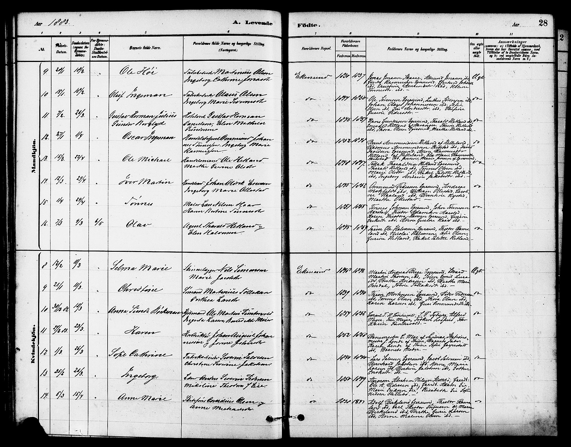 Eigersund sokneprestkontor, AV/SAST-A-101807/S08/L0015: Parish register (official) no. A 15, 1879-1892, p. 28