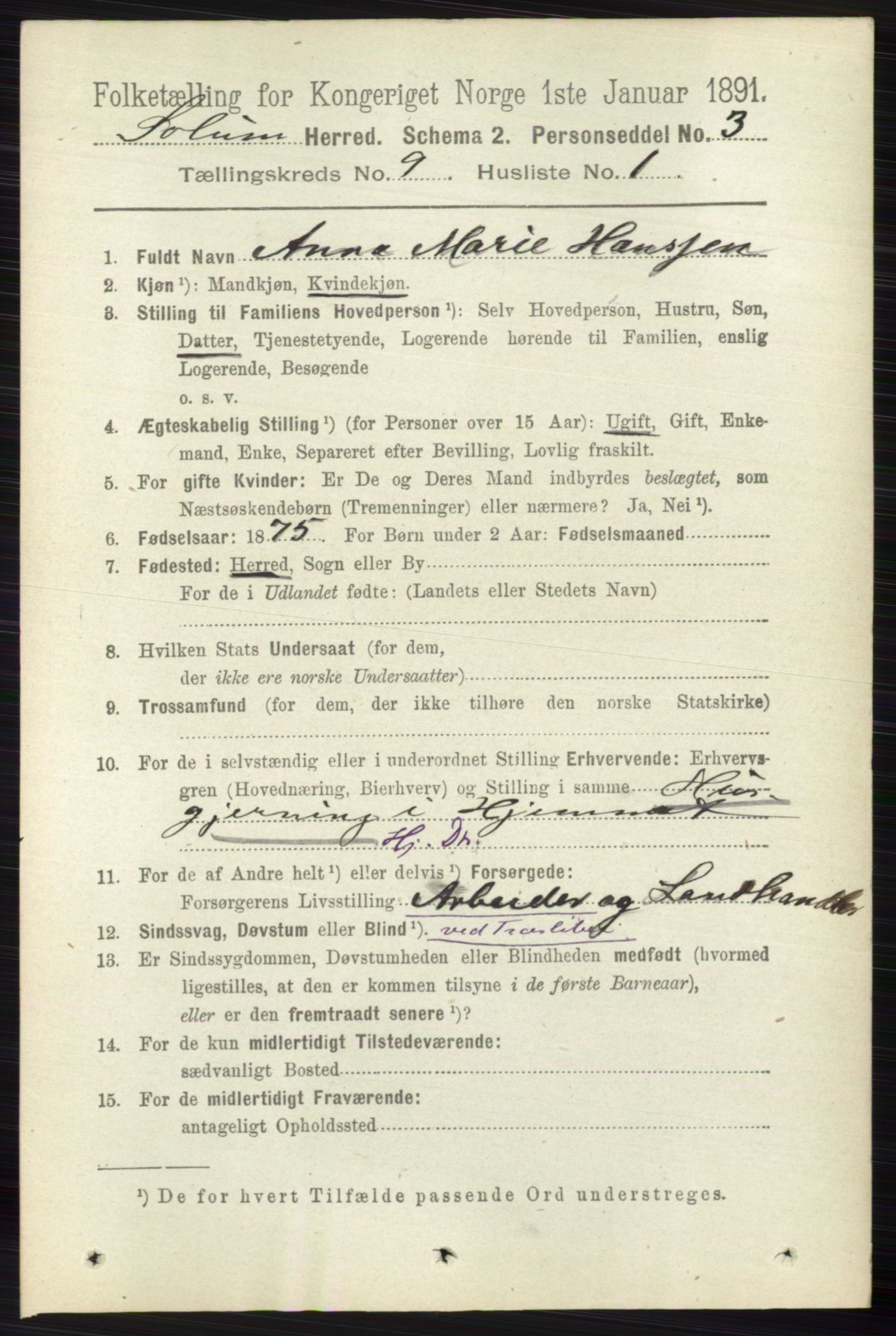 RA, 1891 census for 0818 Solum, 1891, p. 1942