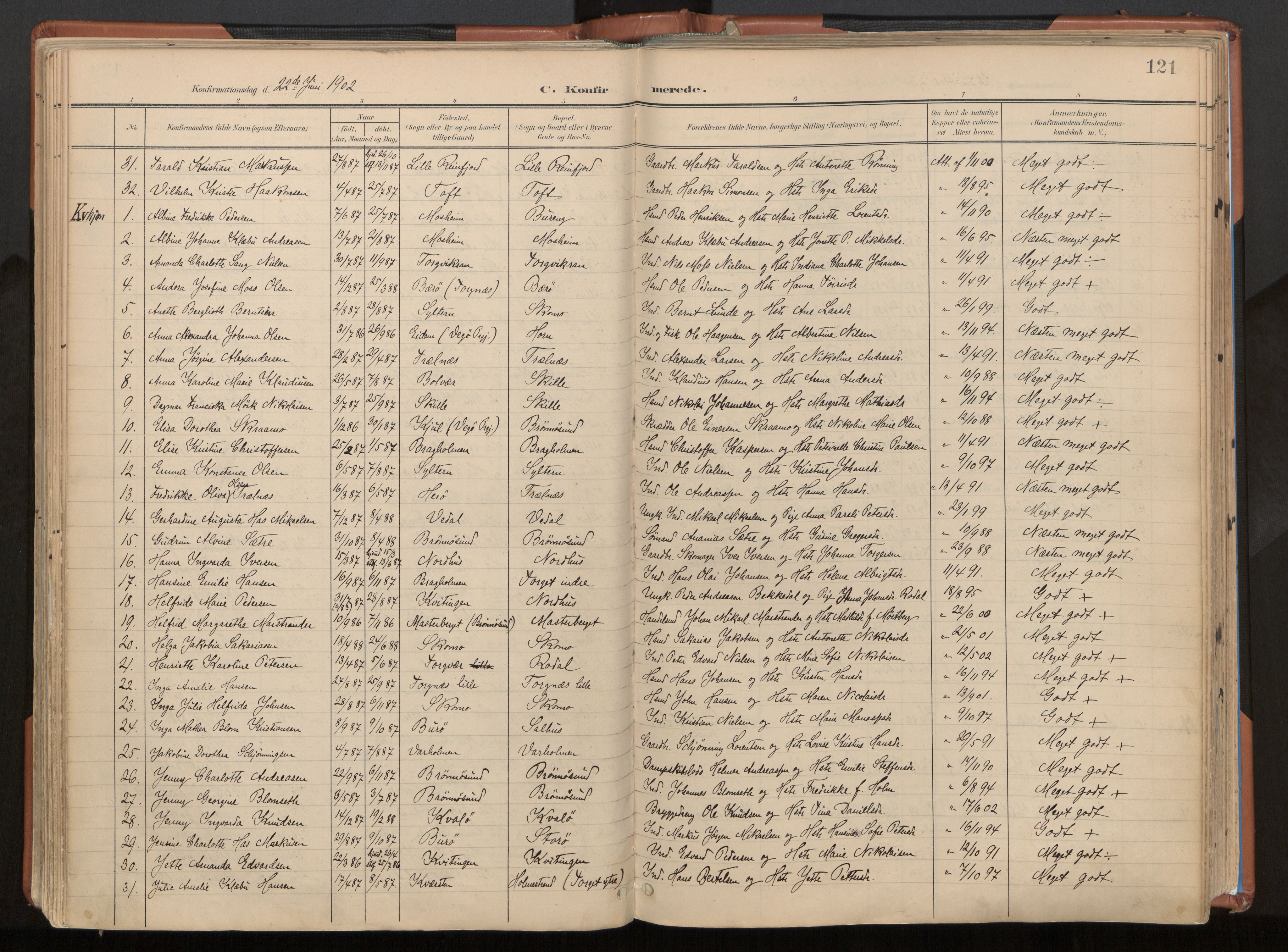 Ministerialprotokoller, klokkerbøker og fødselsregistre - Nordland, SAT/A-1459/813/L0201: Parish register (official) no. 813A11, 1901-1918, p. 121
