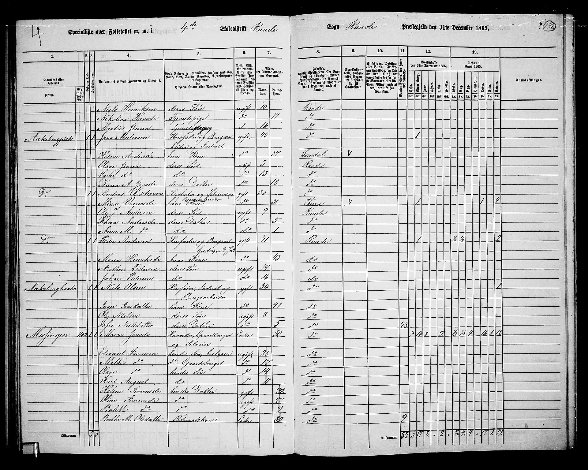 RA, 1865 census for Råde, 1865, p. 119