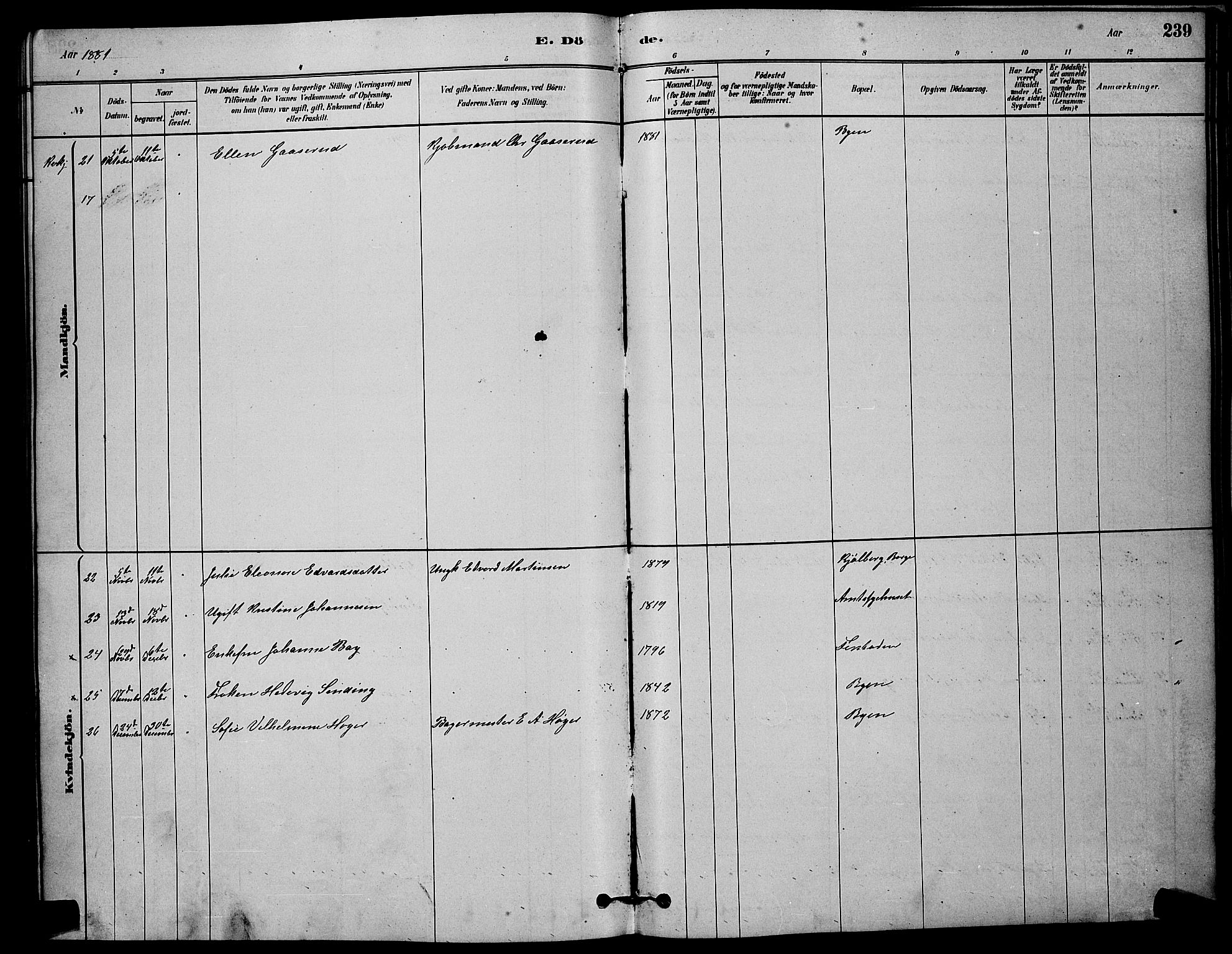Østre Fredrikstad prestekontor Kirkebøker, SAO/A-10907/G/Ga/L0001: Parish register (copy) no. 1, 1880-1899, p. 239