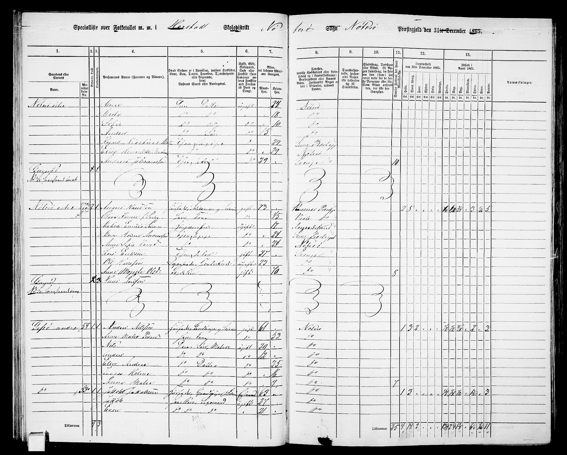 RA, 1865 census for Nøtterøy, 1865, p. 31