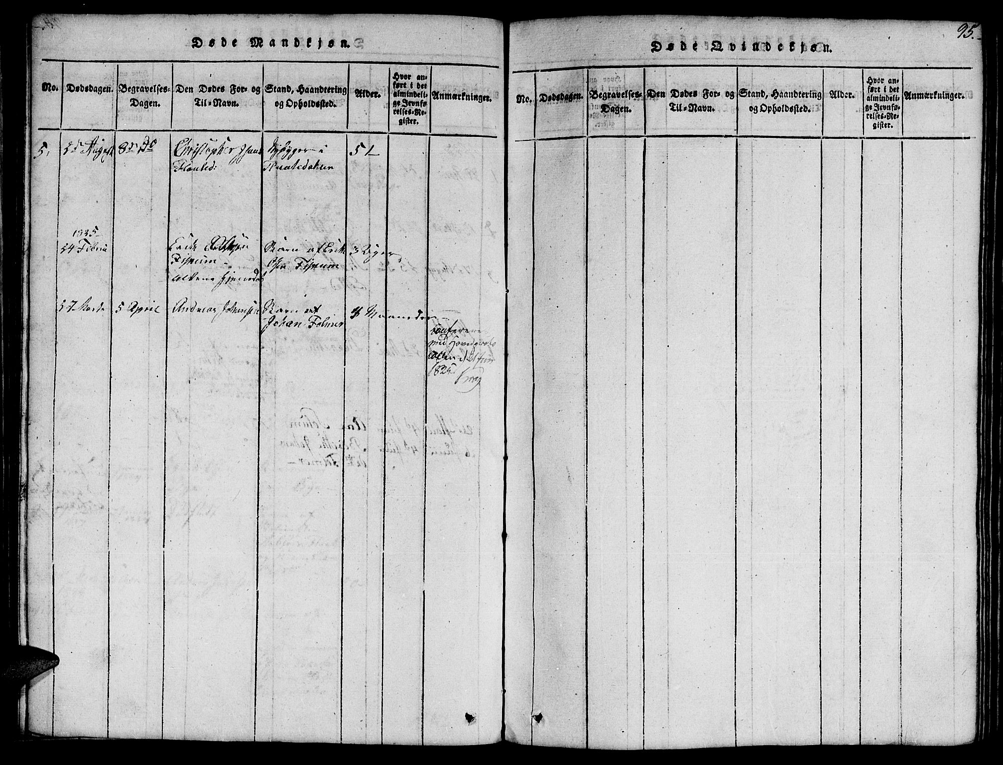 Ministerialprotokoller, klokkerbøker og fødselsregistre - Nord-Trøndelag, SAT/A-1458/759/L0527: Parish register (copy) no. 759C01 /1, 1816-1825, p. 95