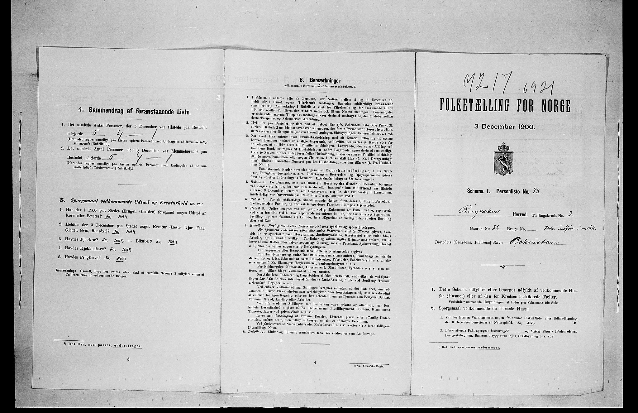 SAH, 1900 census for Ringsaker, 1900, p. 165