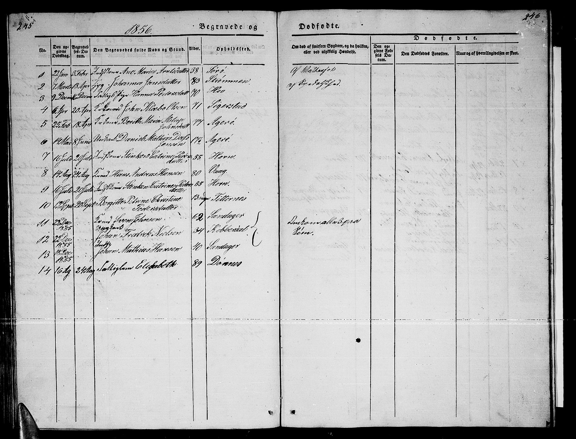 Ministerialprotokoller, klokkerbøker og fødselsregistre - Nordland, AV/SAT-A-1459/835/L0530: Parish register (copy) no. 835C02, 1842-1865, p. 245-246