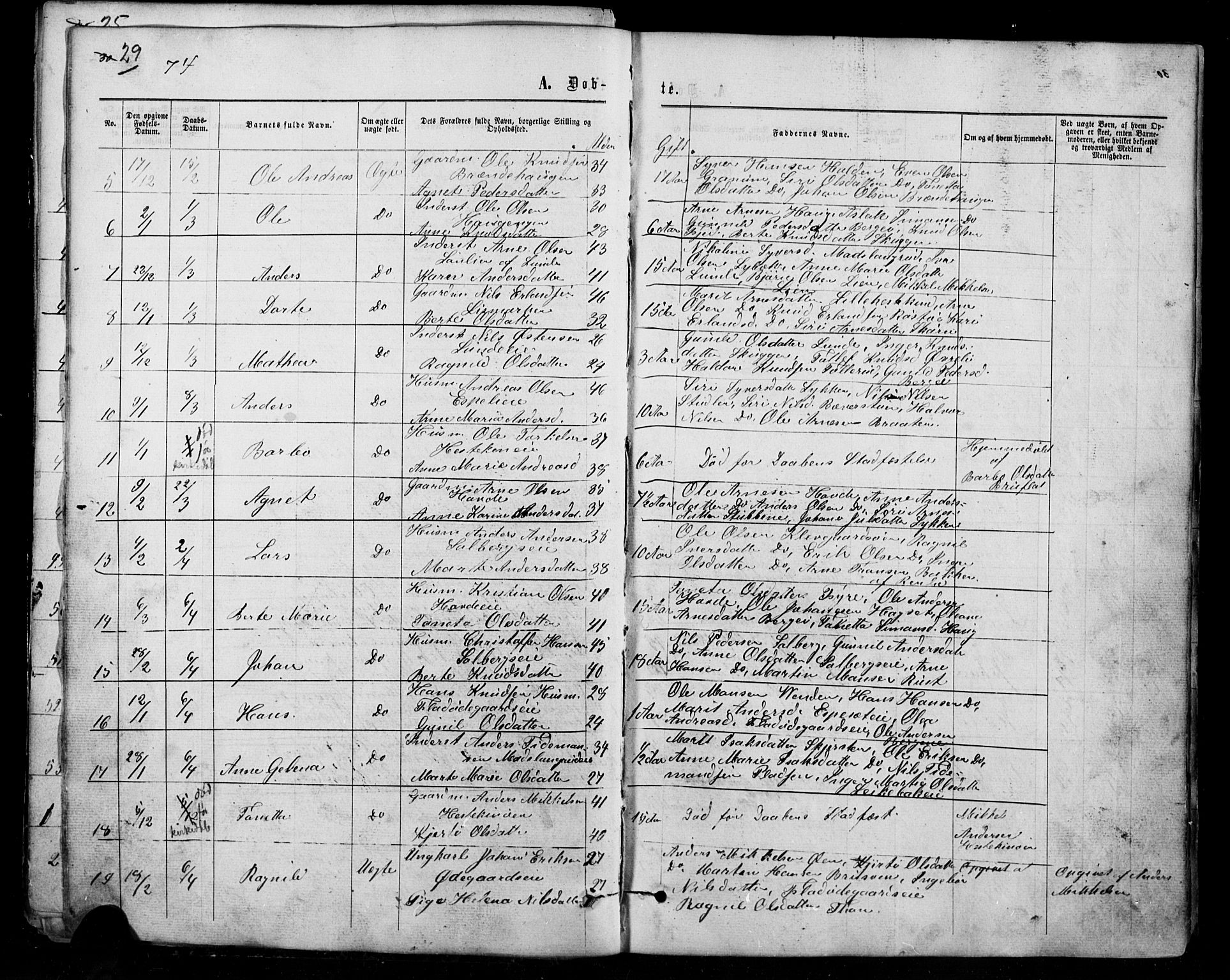 Sør-Aurdal prestekontor, AV/SAH-PREST-128/H/Ha/Hab/L0007: Parish register (copy) no. 7, 1866-1893, p. 29
