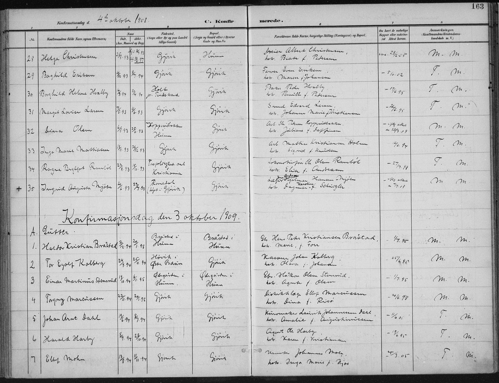 Vardal prestekontor, SAH/PREST-100/H/Ha/Haa/L0013: Parish register (official) no. 13, 1901-1911, p. 163