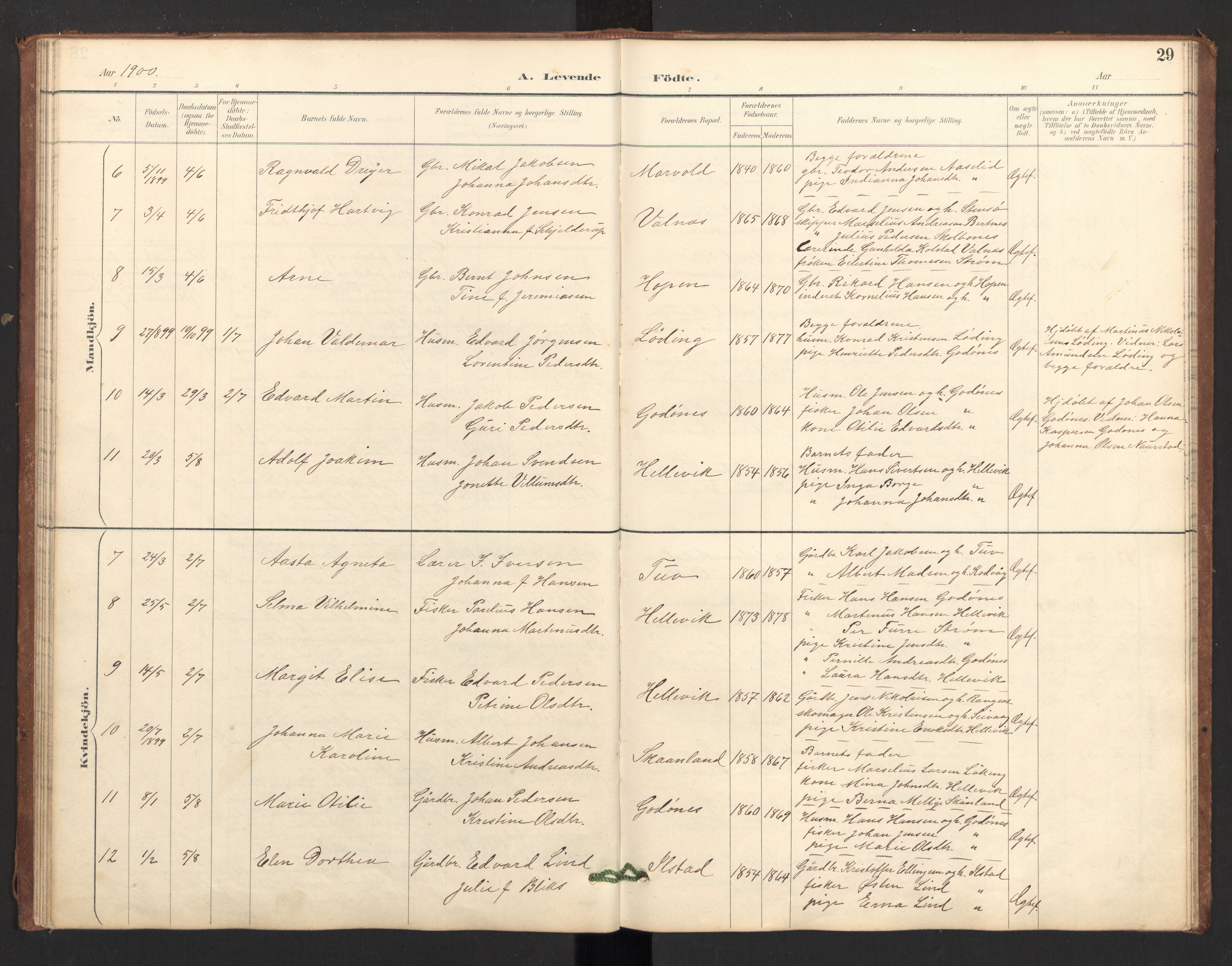 Ministerialprotokoller, klokkerbøker og fødselsregistre - Nordland, AV/SAT-A-1459/804/L0087: Parish register (official) no. 804A08, 1894-1907, p. 29