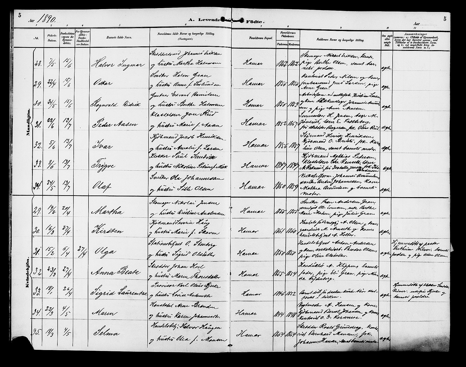 Vang prestekontor, Hedmark, AV/SAH-PREST-008/H/Ha/Hab/L0013: Parish register (copy) no. 13, 1890-1899, p. 5