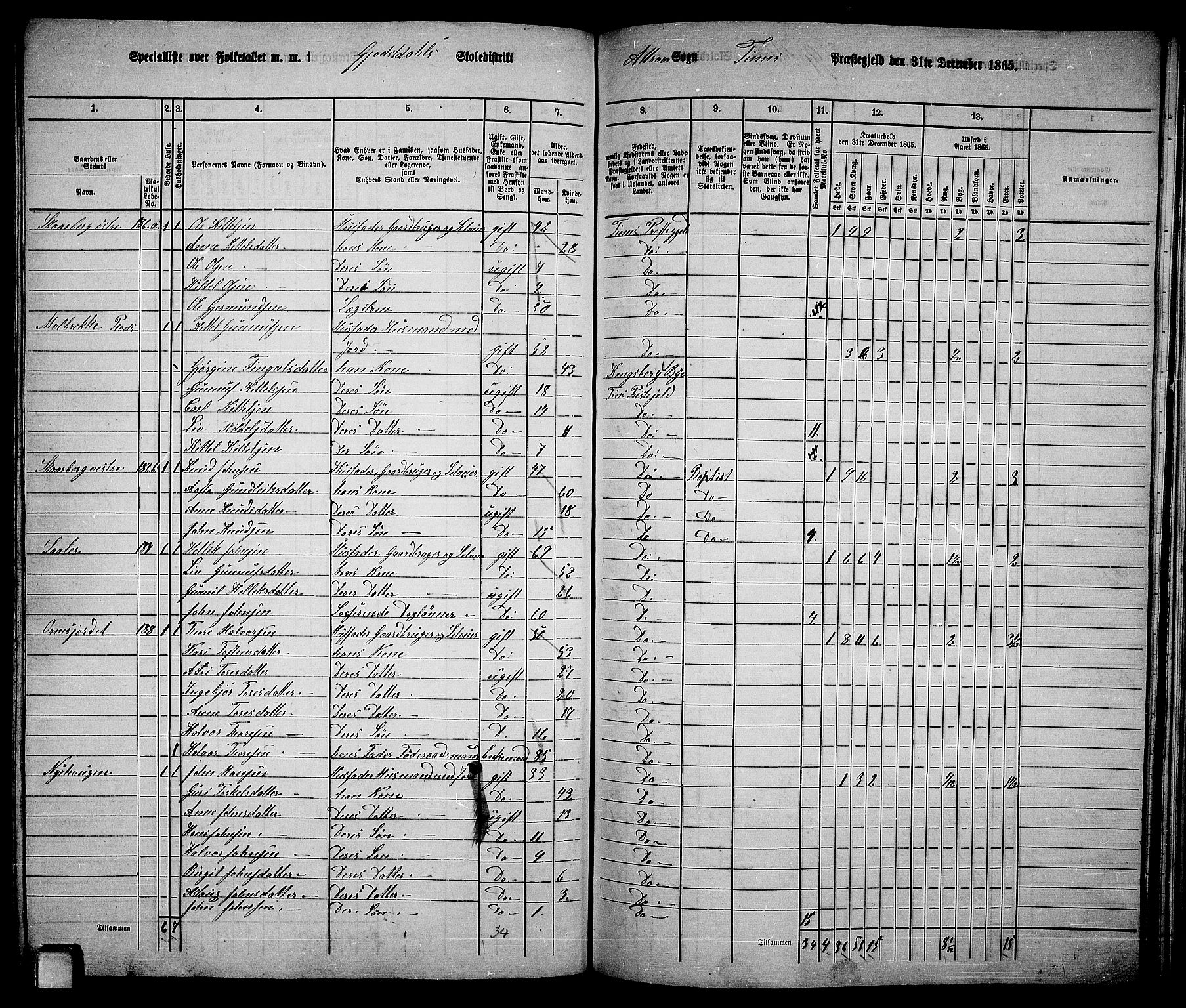 RA, 1865 census for Tinn, 1865, p. 50