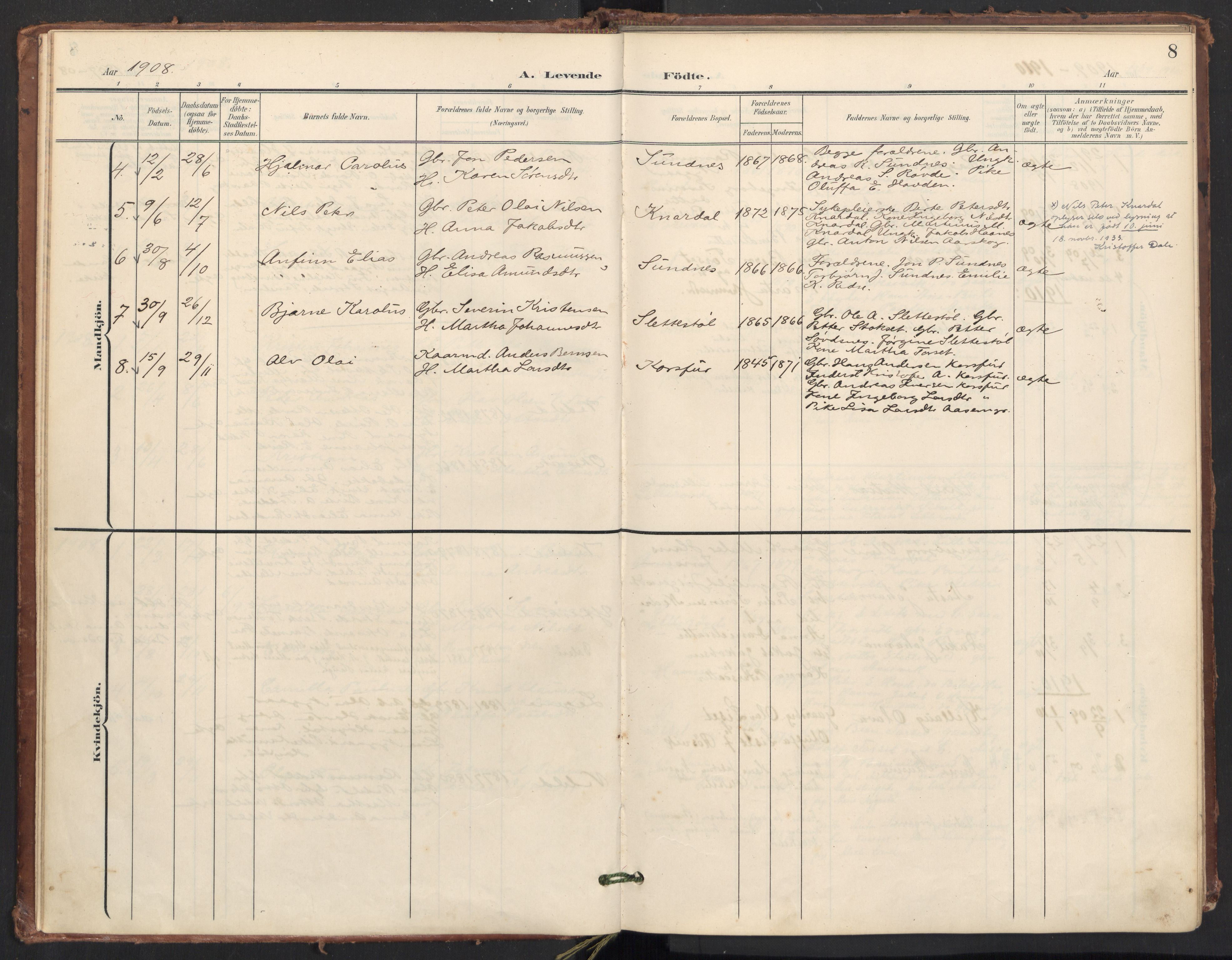 Ministerialprotokoller, klokkerbøker og fødselsregistre - Møre og Romsdal, AV/SAT-A-1454/504/L0057: Parish register (official) no. 504A04, 1902-1919, p. 8