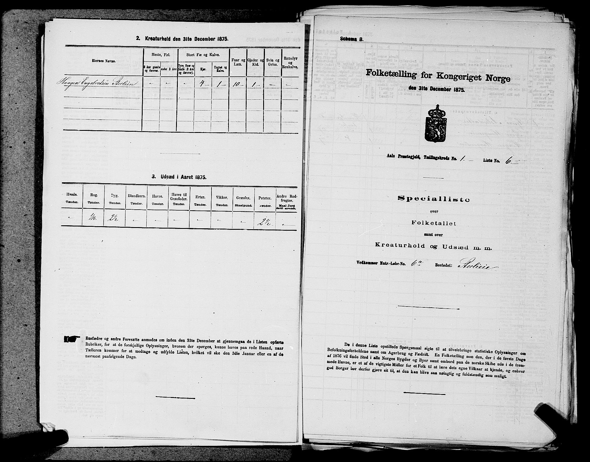 SAKO, 1875 census for 0619P Ål, 1875, p. 30