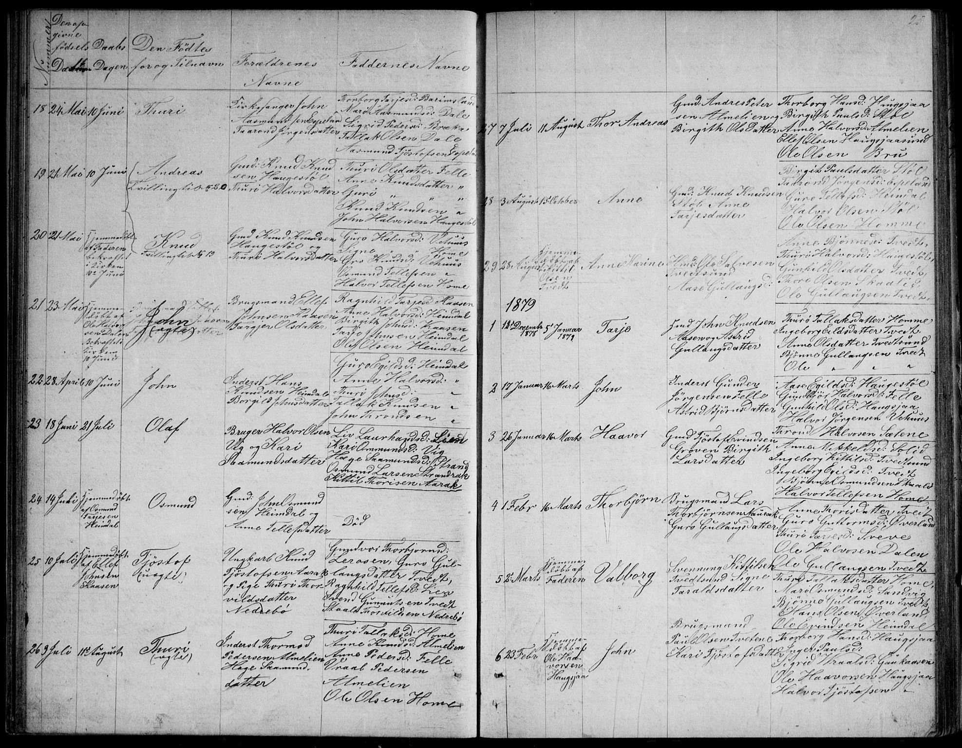 Nissedal kirkebøker, SAKO/A-288/G/Gb/L0002: Parish register (copy) no. II 2, 1863-1892, p. 25
