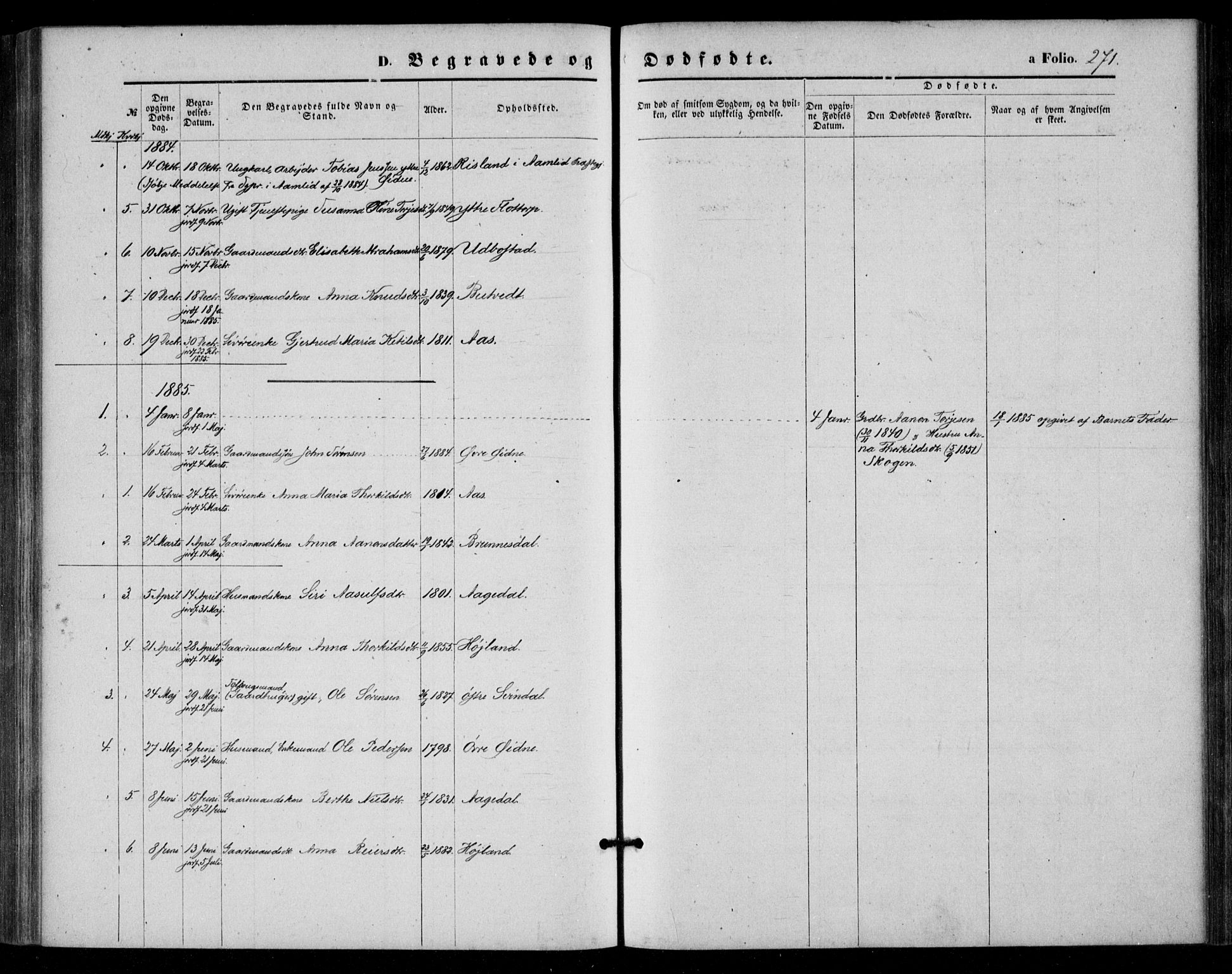 Bjelland sokneprestkontor, AV/SAK-1111-0005/F/Fa/Fac/L0002: Parish register (official) no. A 2, 1866-1887, p. 271