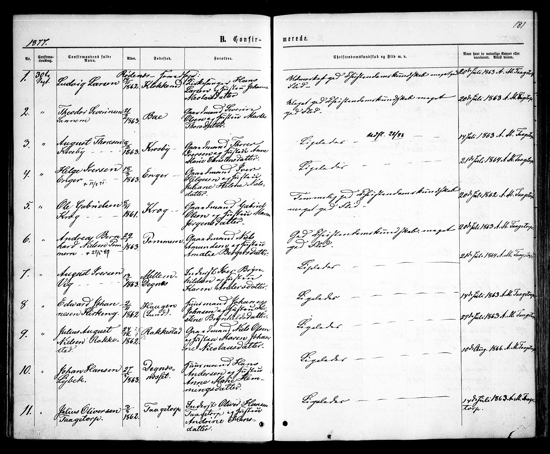 Rødenes prestekontor Kirkebøker, AV/SAO-A-2005/F/Fa/L0008: Parish register (official) no. I 8, 1869-1879, p. 181