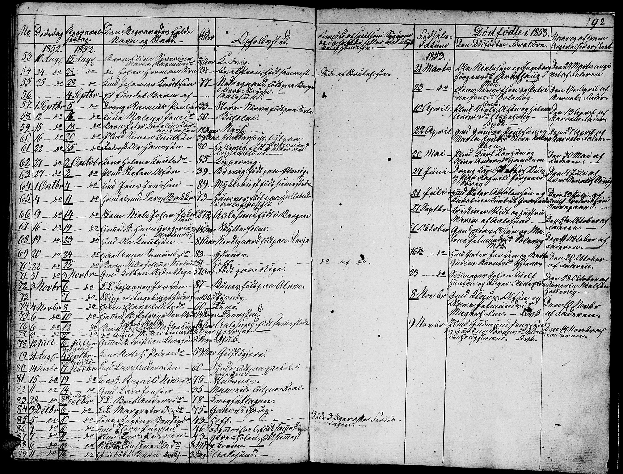 Ministerialprotokoller, klokkerbøker og fødselsregistre - Møre og Romsdal, AV/SAT-A-1454/528/L0426: Parish register (copy) no. 528C07, 1844-1854, p. 192