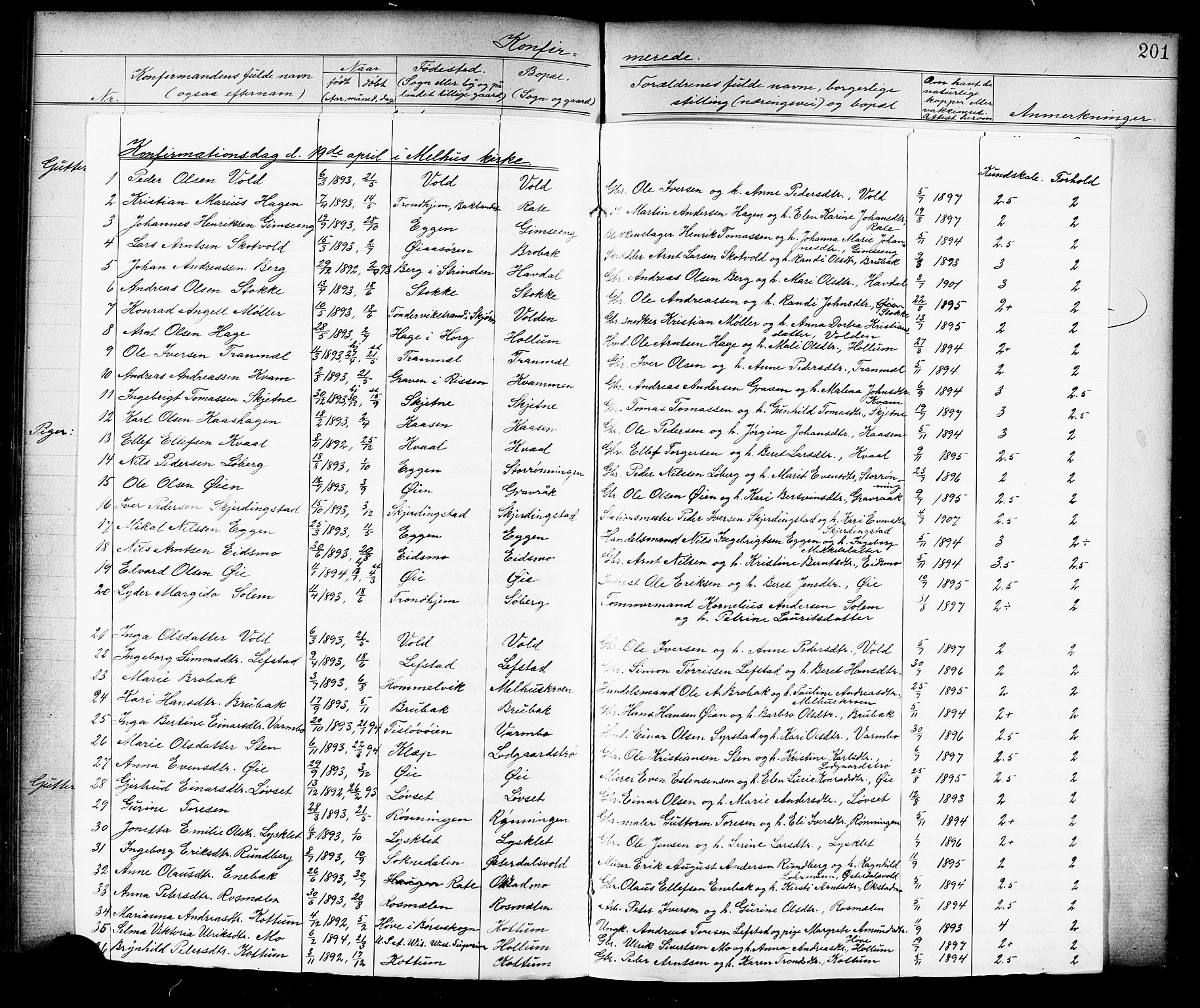 Ministerialprotokoller, klokkerbøker og fødselsregistre - Sør-Trøndelag, SAT/A-1456/691/L1094: Parish register (copy) no. 691C05, 1879-1911, p. 201g