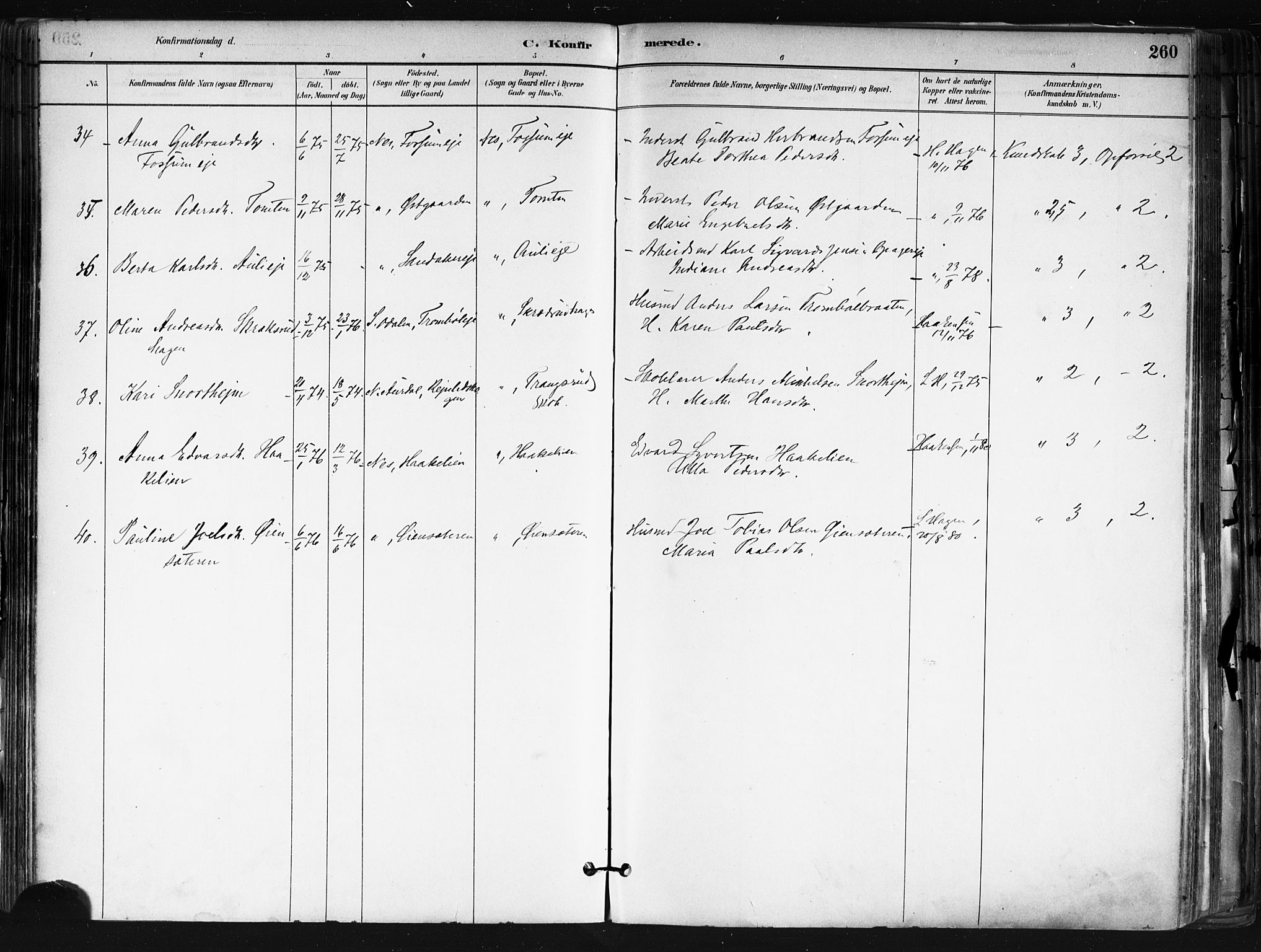 Nes prestekontor Kirkebøker, AV/SAO-A-10410/F/Fa/L0010: Parish register (official) no. I 10, 1883-1898, p. 260