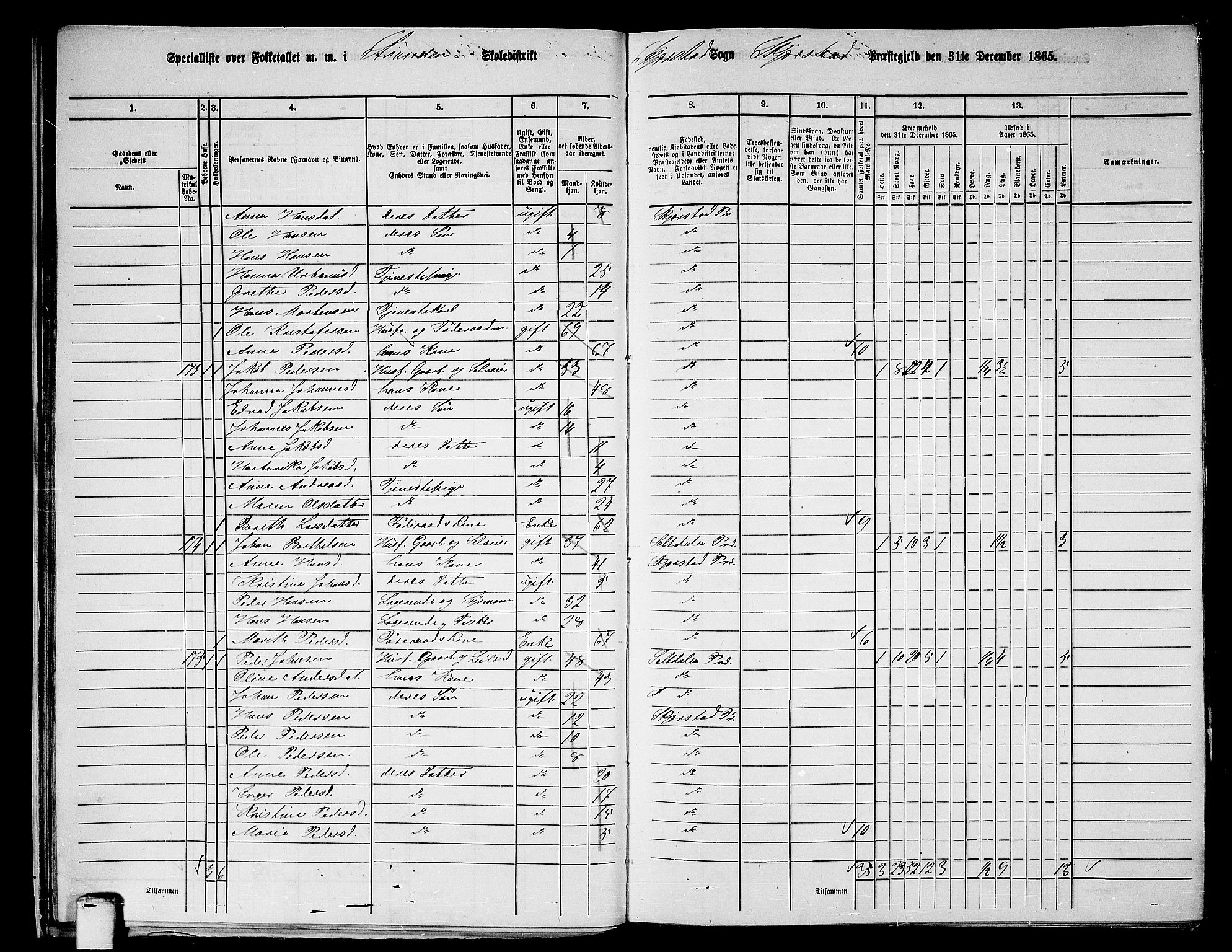 RA, 1865 census for Skjerstad, 1865, p. 32