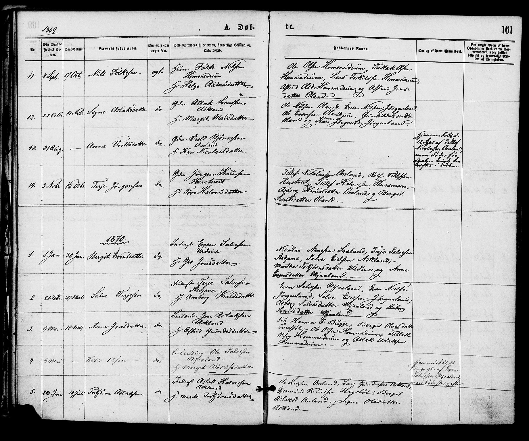 Åmli sokneprestkontor, SAK/1111-0050/F/Fa/Fac/L0009: Parish register (official) no. A 9 /2, 1869-1884, p. 161