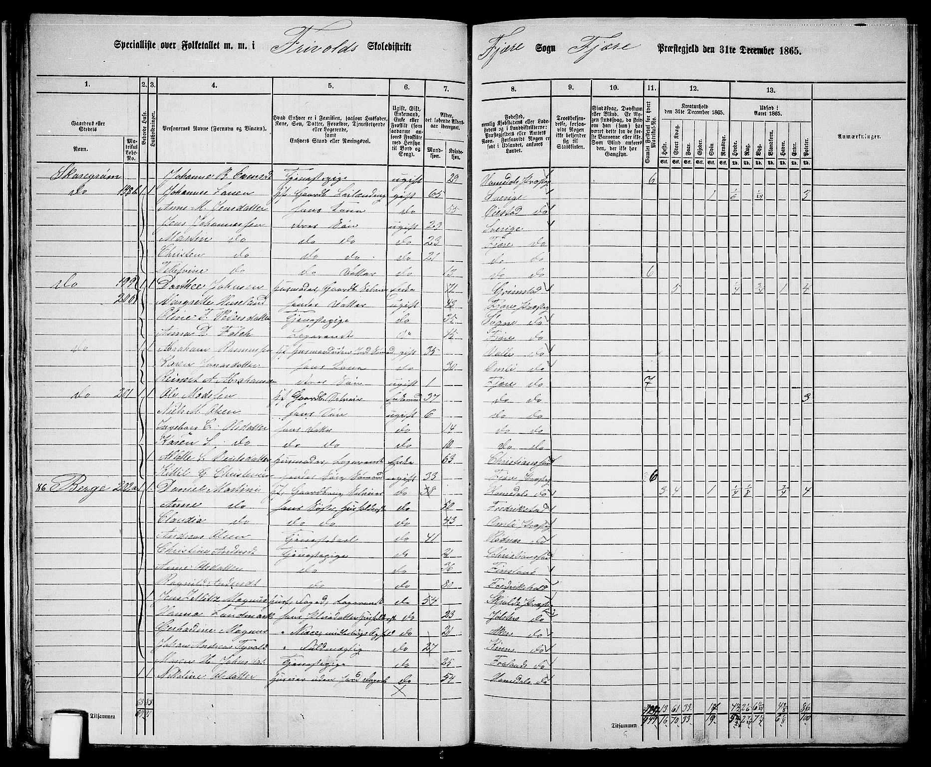 RA, 1865 census for Fjære/Fjære, 1865, p. 29