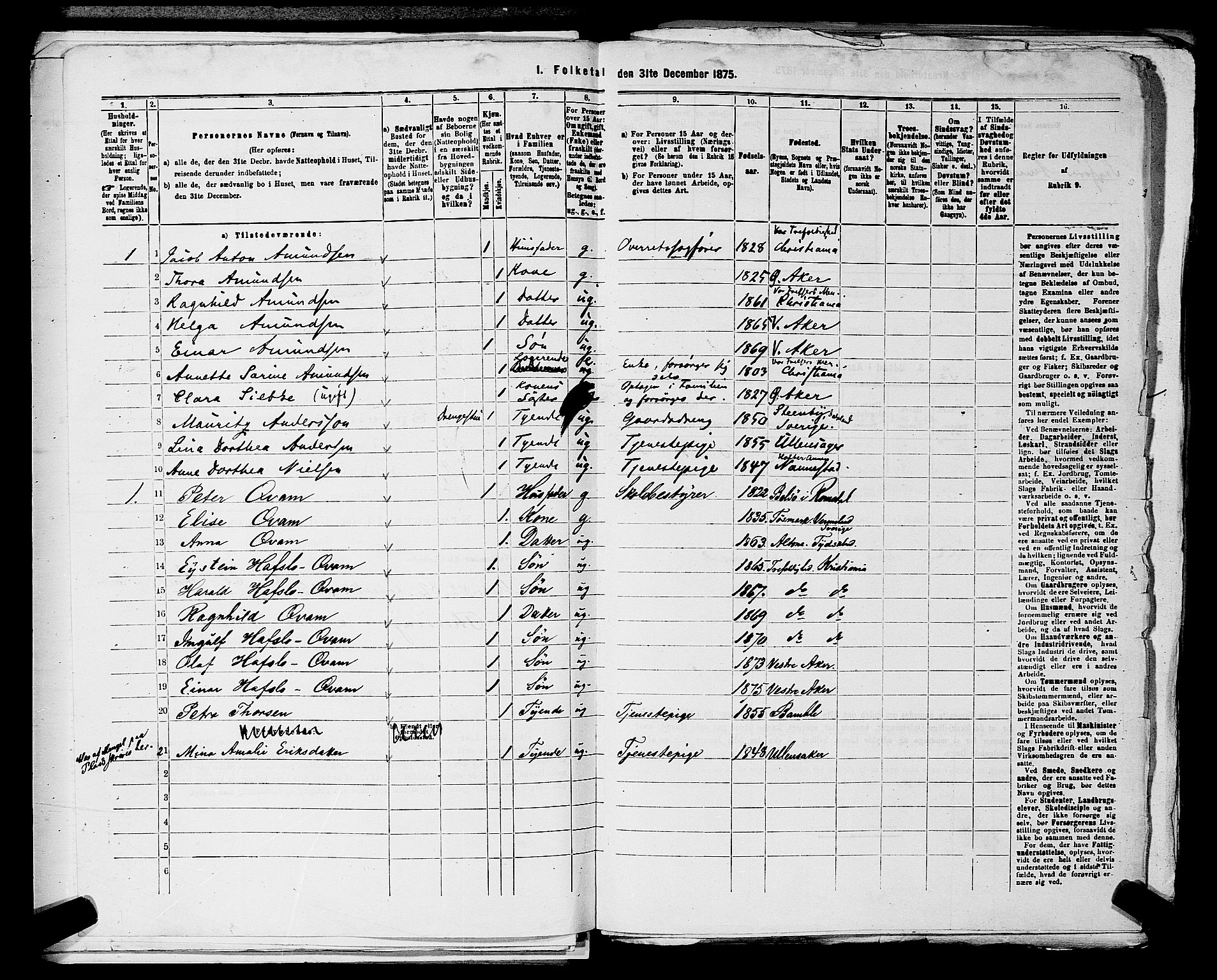 RA, 1875 census for 0218aP Vestre Aker, 1875, p. 1335