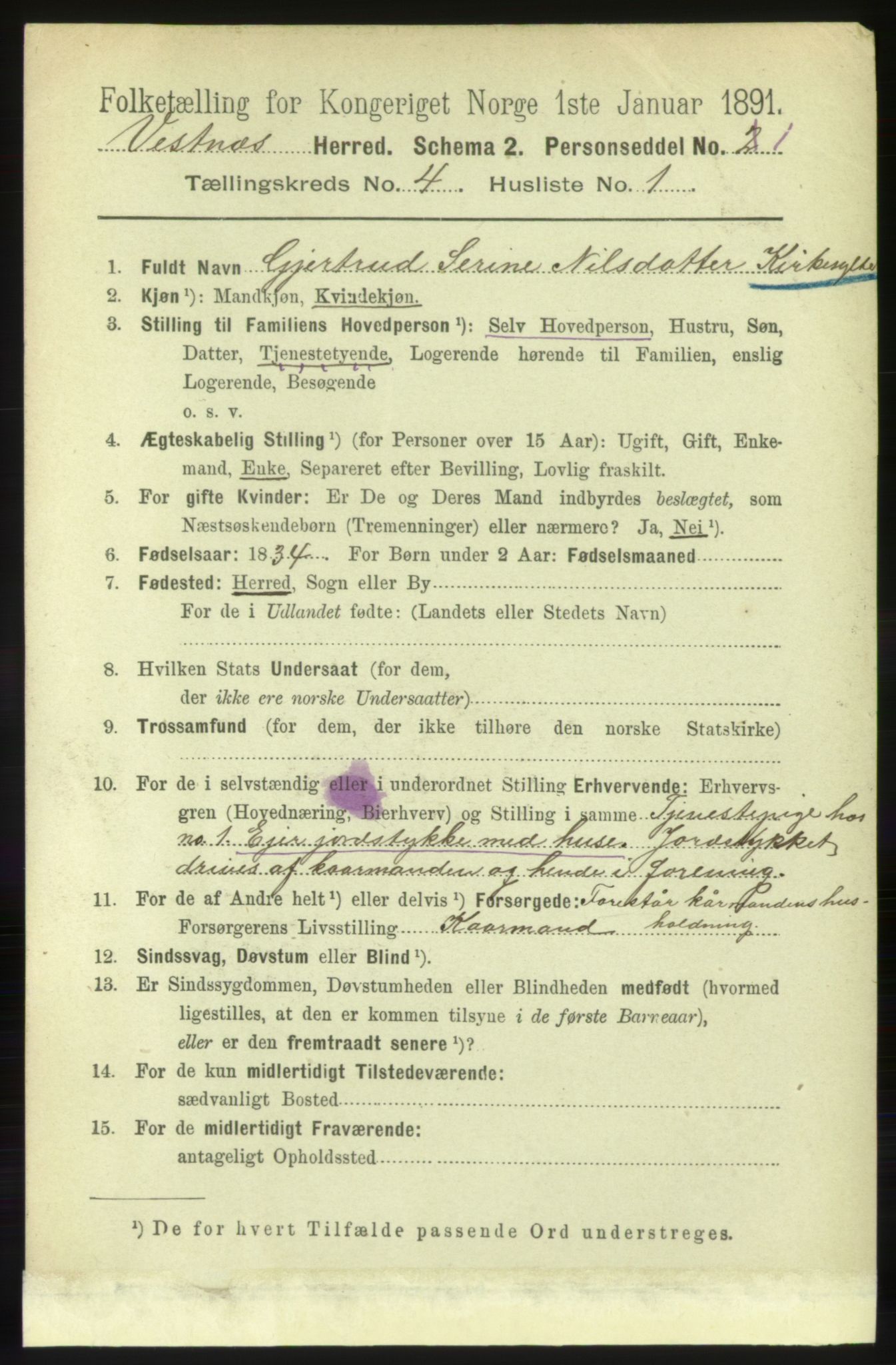 RA, 1891 census for 1535 Vestnes, 1891, p. 1304