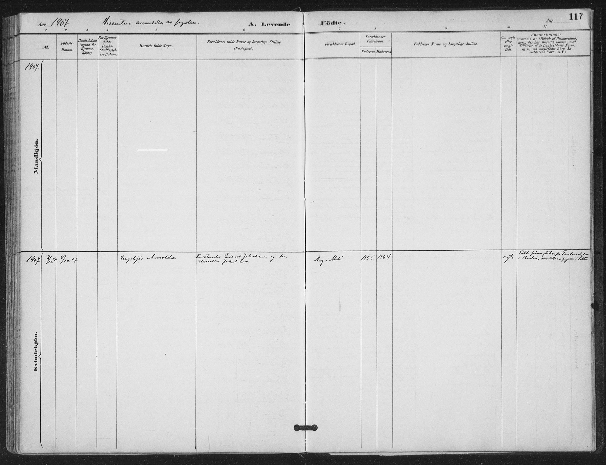 Ministerialprotokoller, klokkerbøker og fødselsregistre - Nordland, SAT/A-1459/843/L0628: Parish register (official) no. 843A03, 1889-1907, p. 117