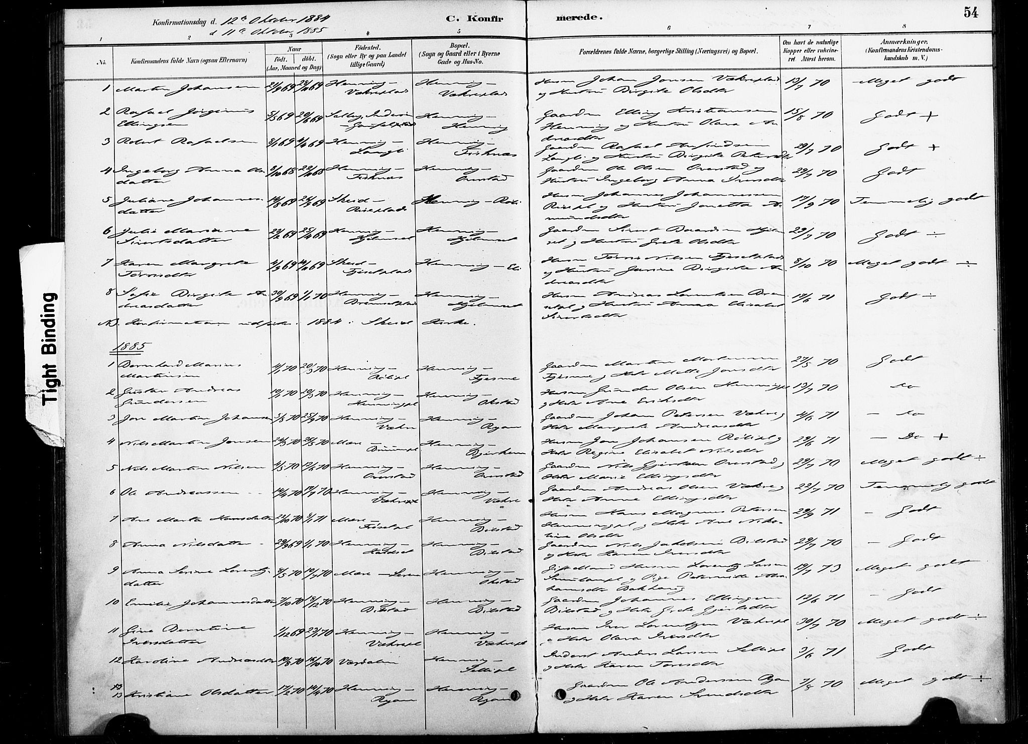 Ministerialprotokoller, klokkerbøker og fødselsregistre - Nord-Trøndelag, SAT/A-1458/738/L0364: Parish register (official) no. 738A01, 1884-1902, p. 54