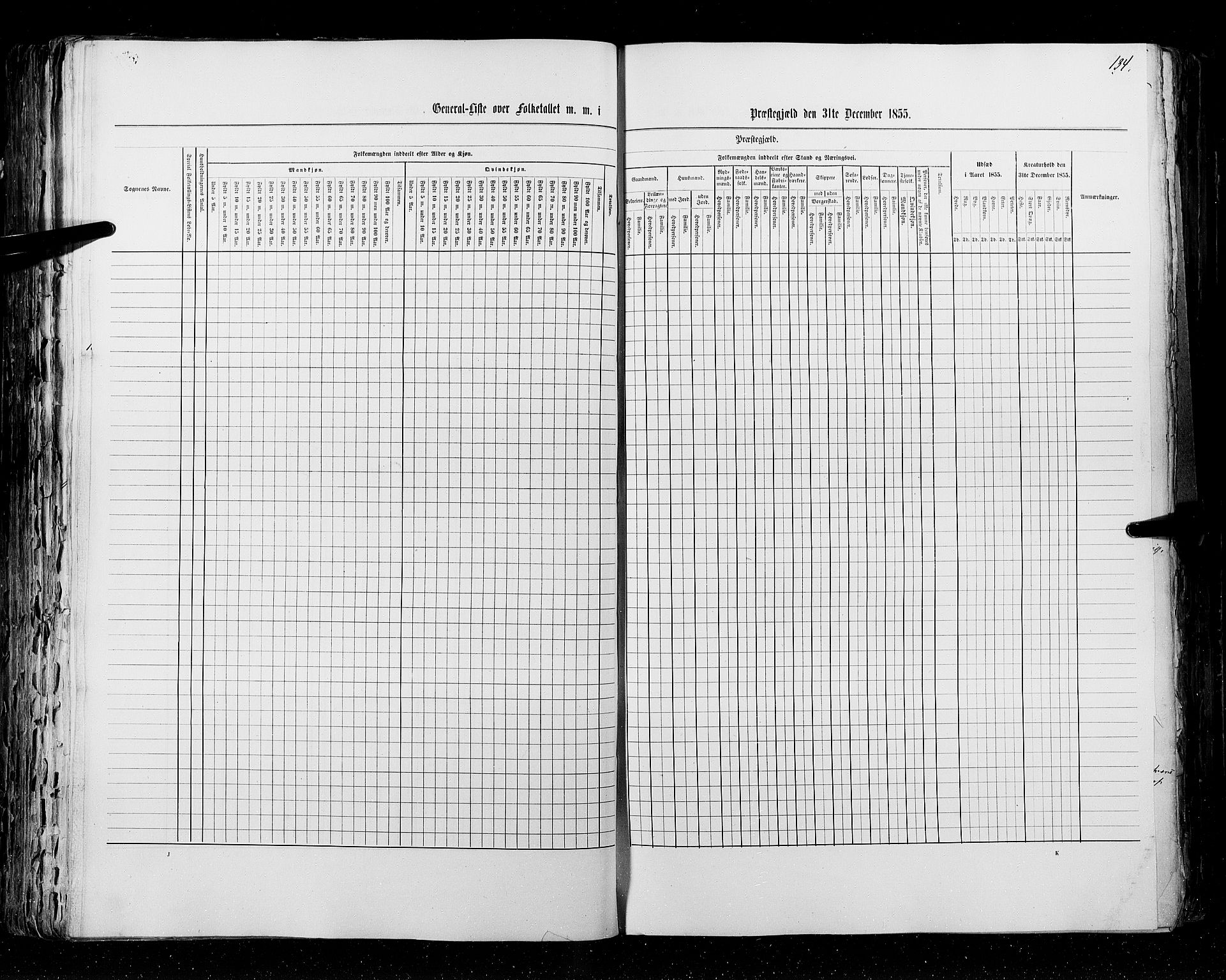 RA, Census 1855, vol. 2: Kristians amt, Buskerud amt og Jarlsberg og Larvik amt, 1855, p. 134