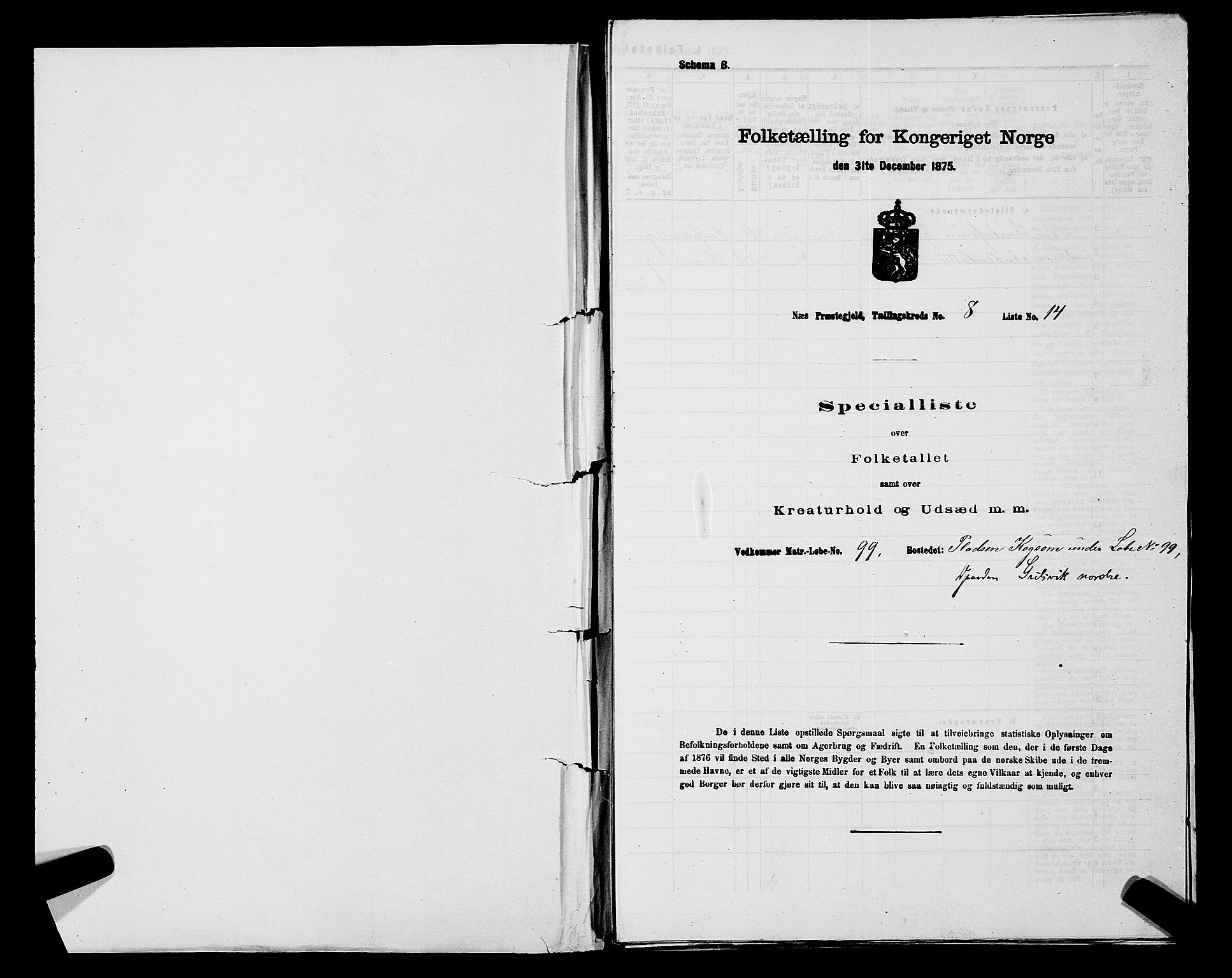 SAKO, 1875 census for 0616P Nes, 1875, p. 1321