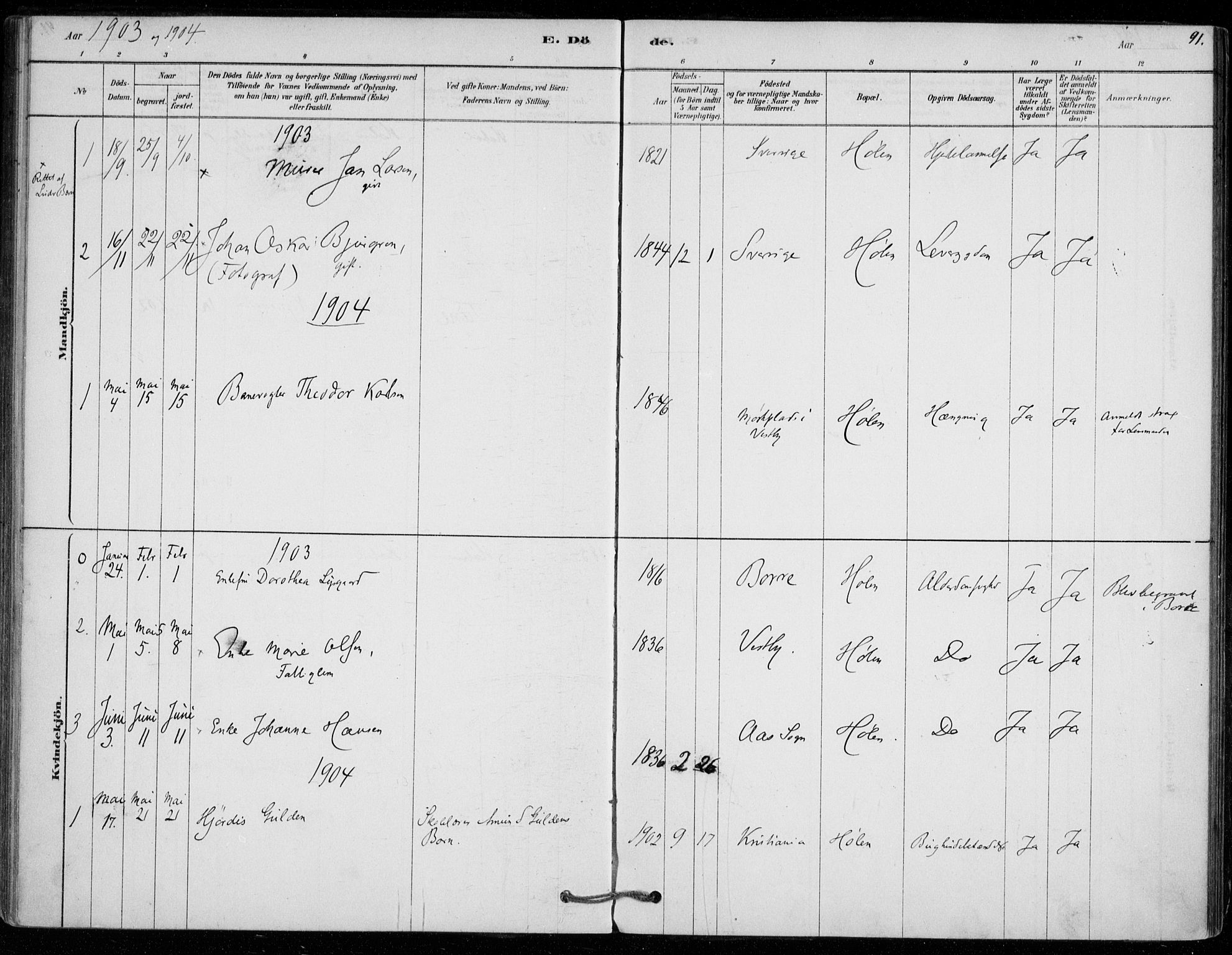 Vestby prestekontor Kirkebøker, SAO/A-10893/F/Fe/L0001: Parish register (official) no. V 1, 1878-1931, p. 91