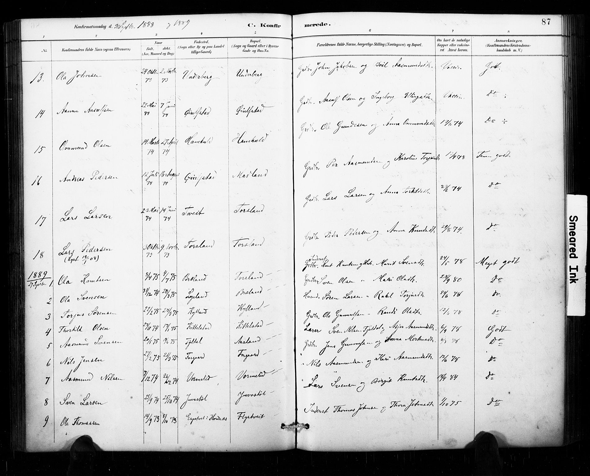 Åseral sokneprestkontor, AV/SAK-1111-0051/F/Fa/L0003: Parish register (official) no. A 3, 1884-1901, p. 87