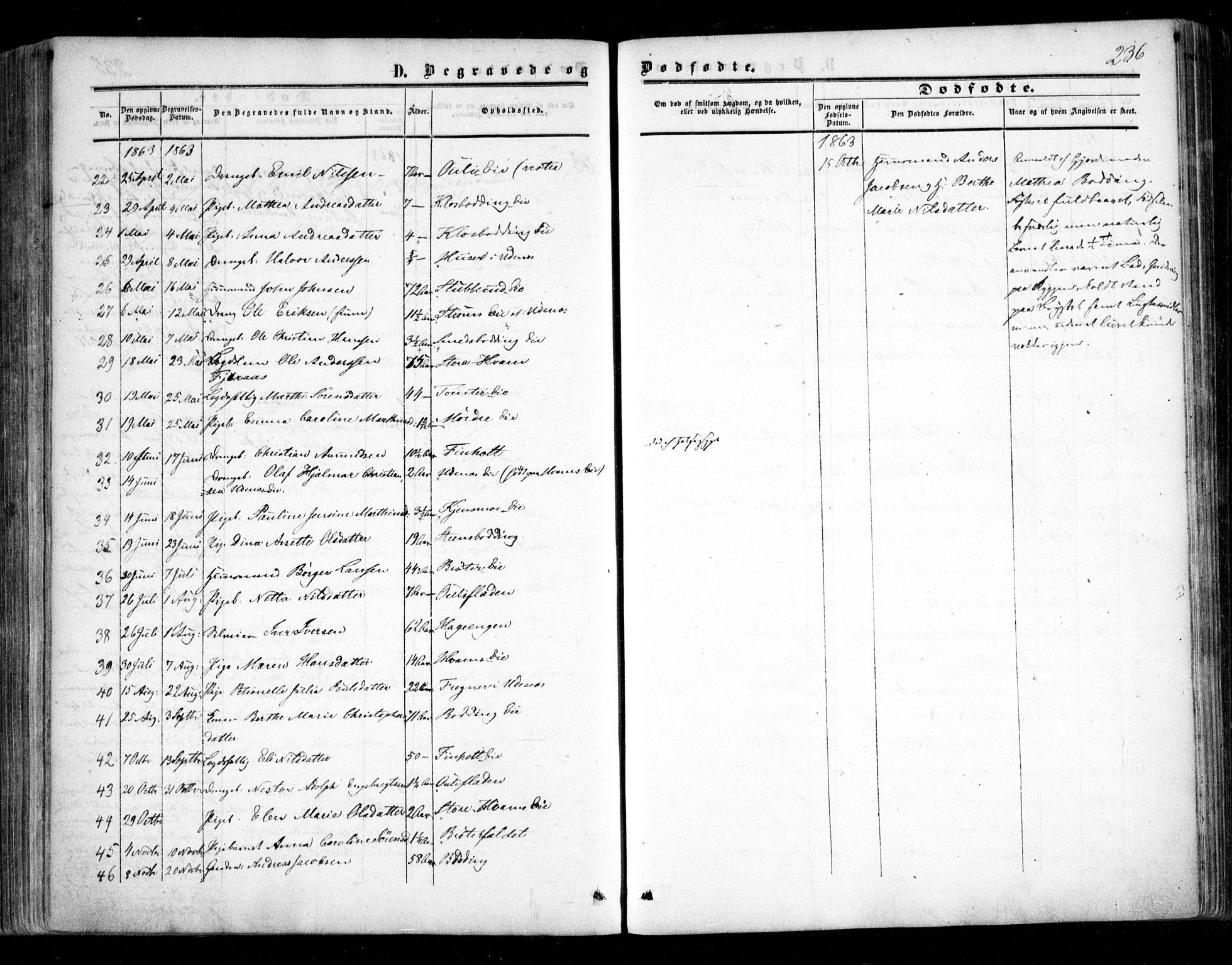 Nes prestekontor Kirkebøker, SAO/A-10410/F/Fc/L0001: Parish register (official) no. III 1, 1859-1882, p. 236