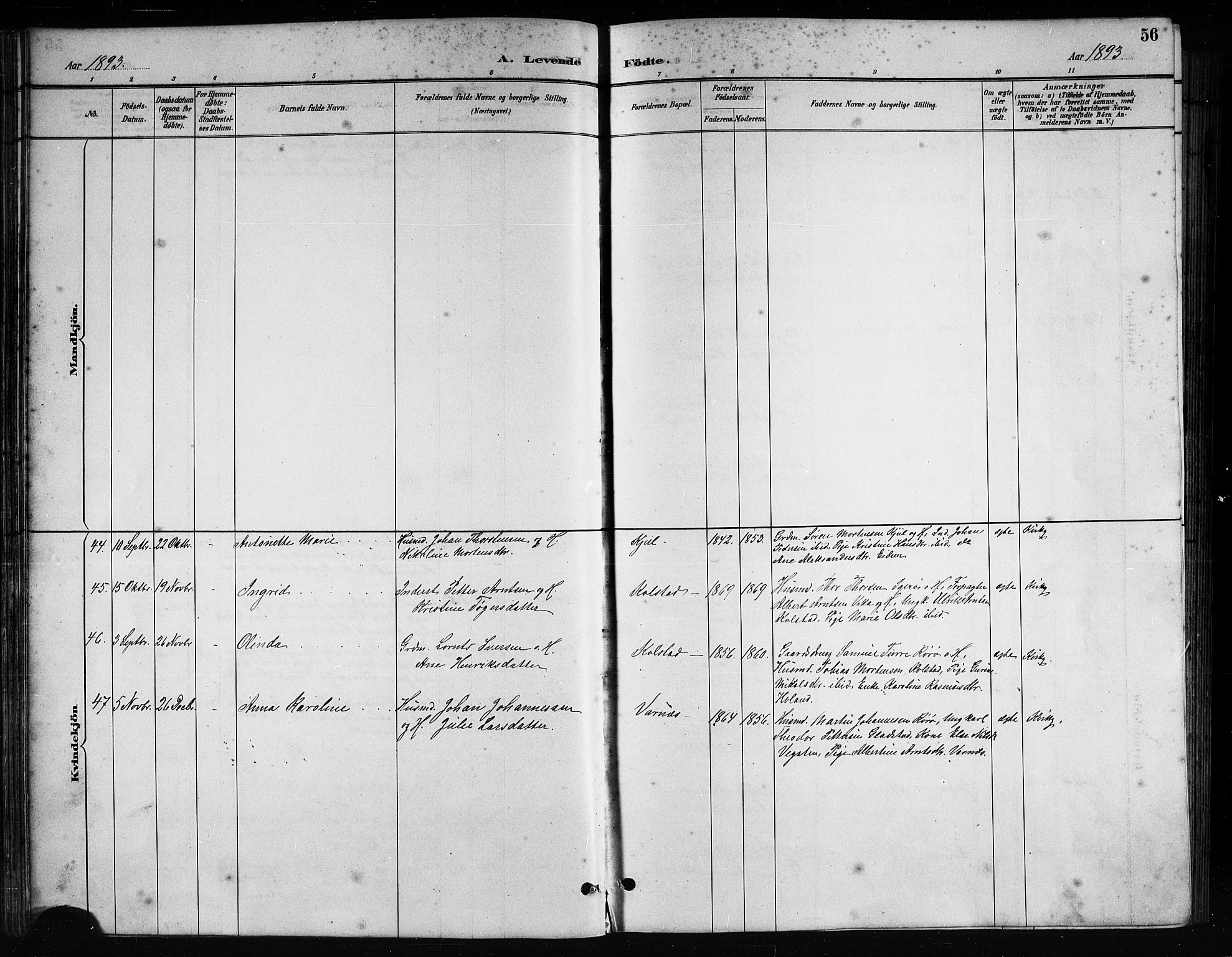 Ministerialprotokoller, klokkerbøker og fødselsregistre - Nordland, AV/SAT-A-1459/816/L0253: Parish register (copy) no. 816C03, 1886-1905, p. 56