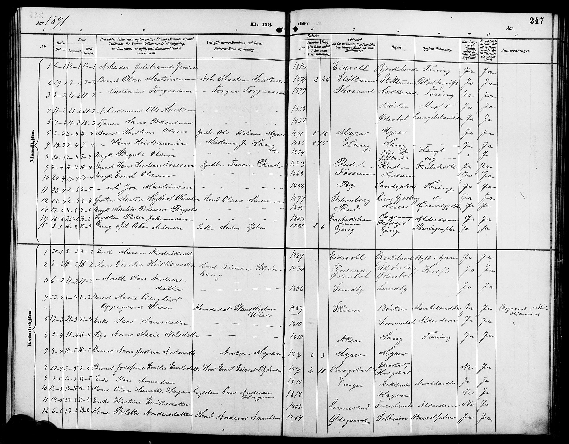 Enebakk prestekontor Kirkebøker, SAO/A-10171c/G/Ga/L0006: Parish register (copy) no. I 6, 1889-1911, p. 247