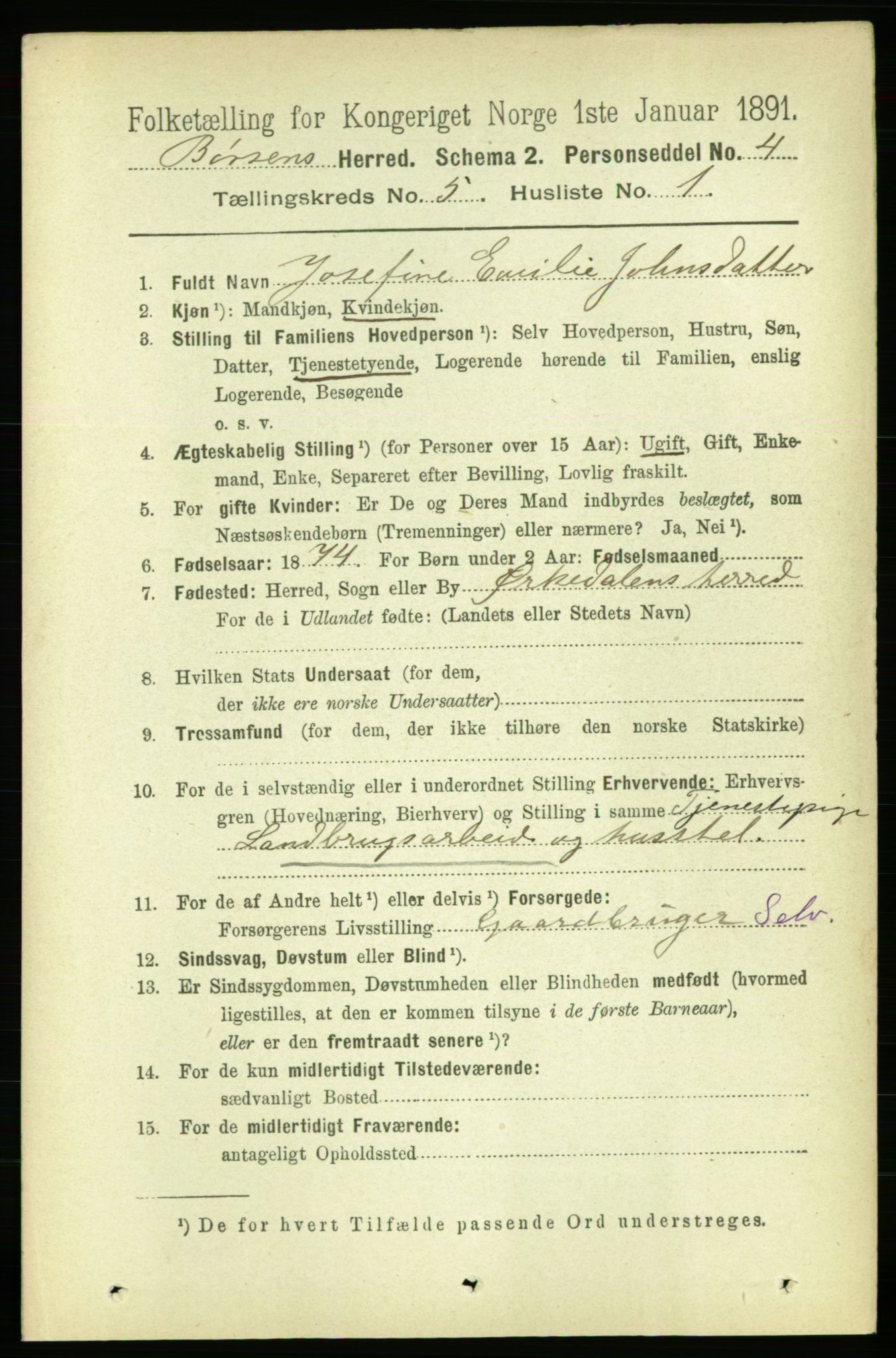 RA, 1891 census for 1658 Børsa, 1891, p. 1978