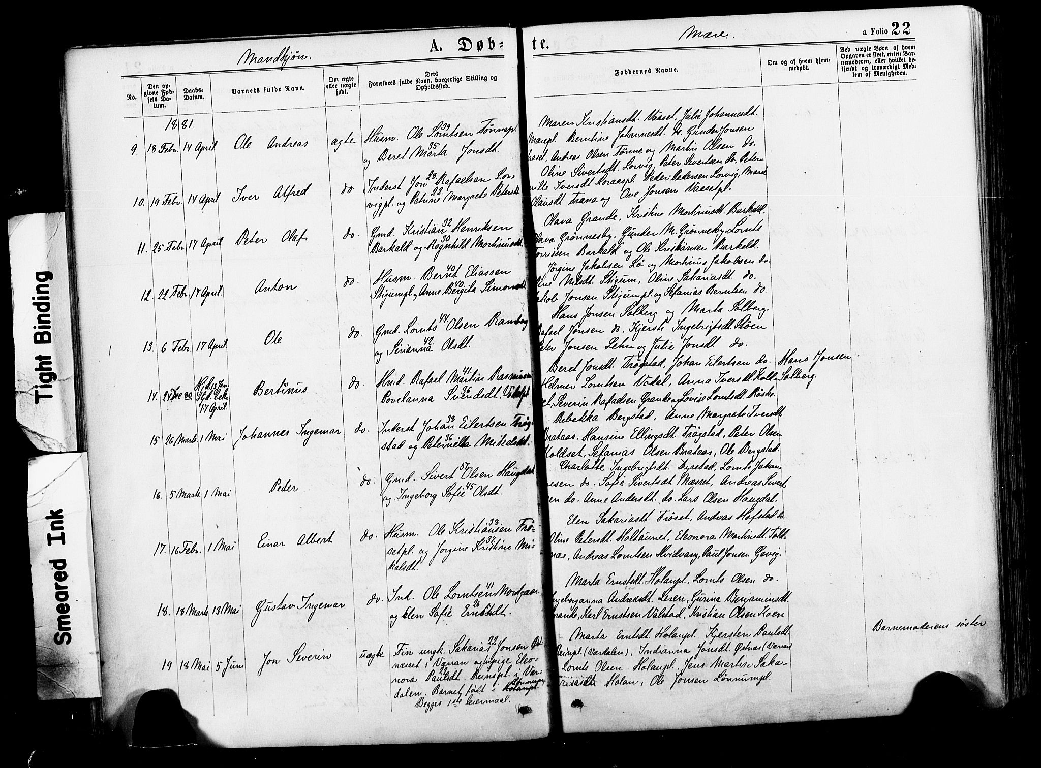 Ministerialprotokoller, klokkerbøker og fødselsregistre - Nord-Trøndelag, SAT/A-1458/735/L0348: Parish register (official) no. 735A09 /1, 1873-1883, p. 22