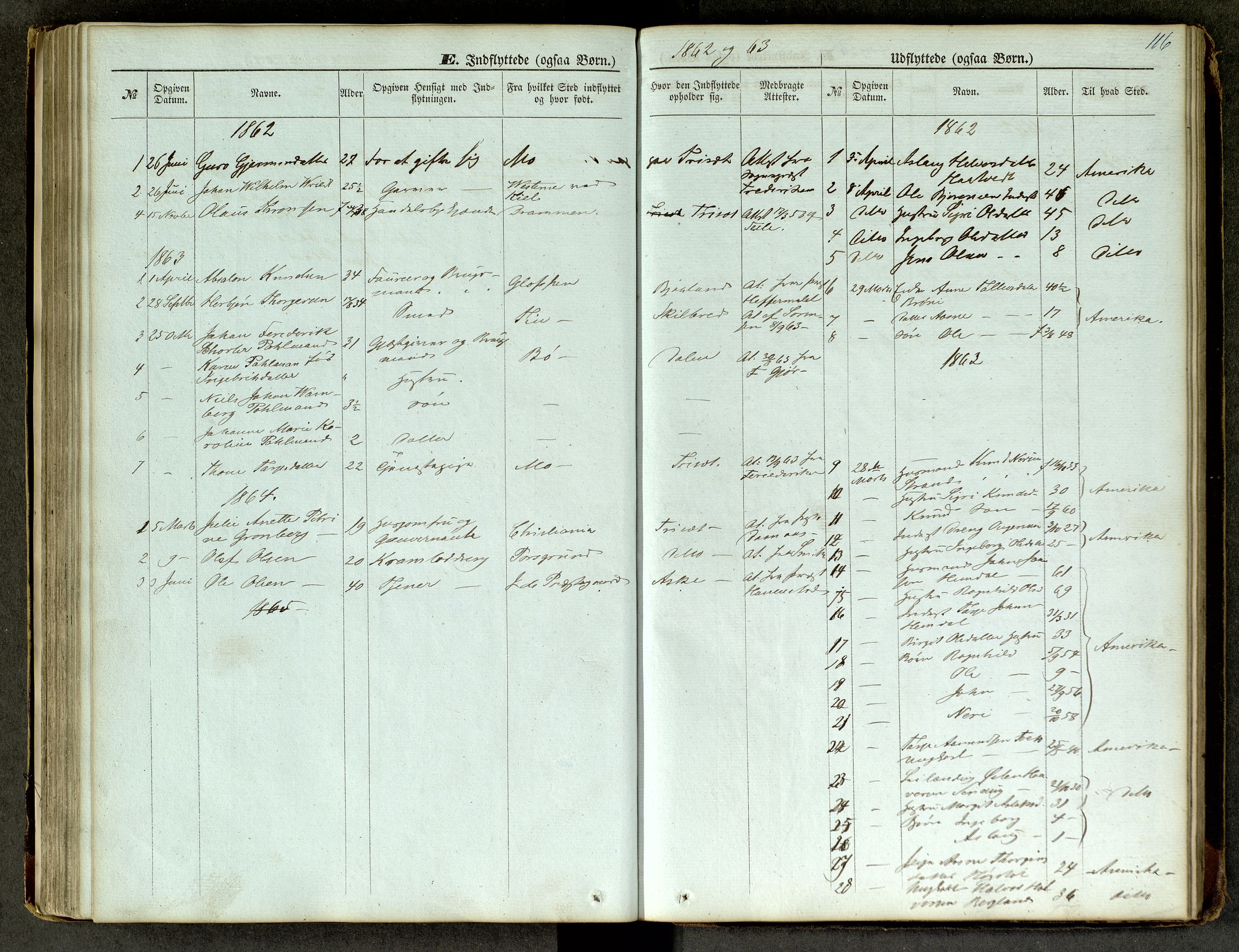 Lårdal kirkebøker, SAKO/A-284/G/Ga/L0002: Parish register (copy) no. I 2, 1861-1890, p. 116