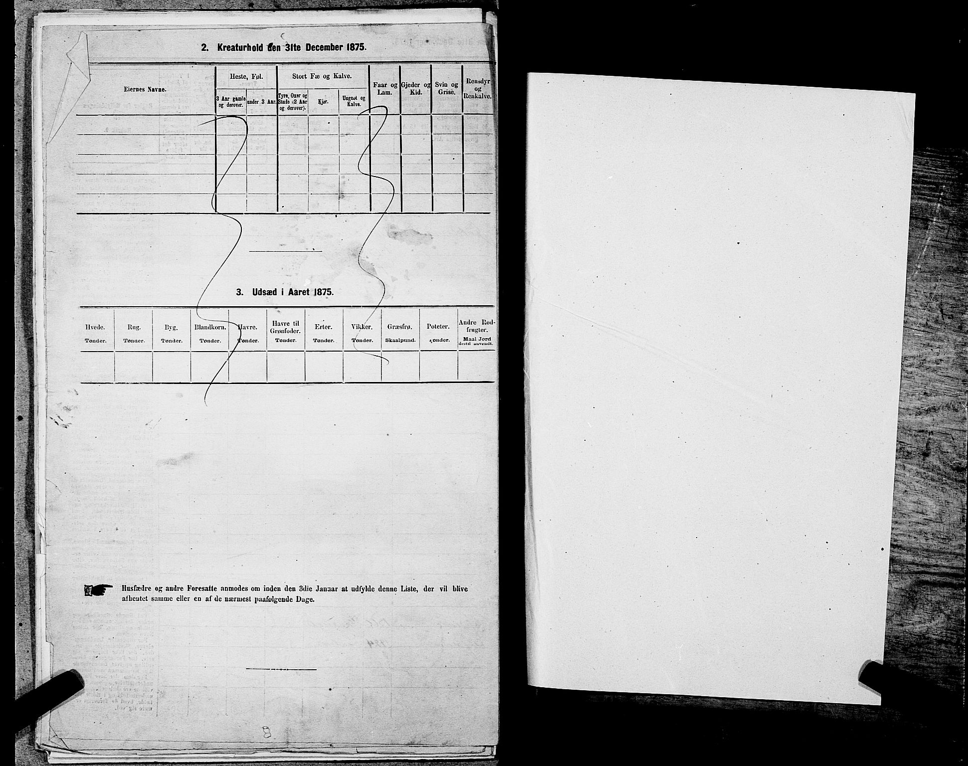 SAST, 1875 census for 1103 Stavanger, 1875, p. 1816