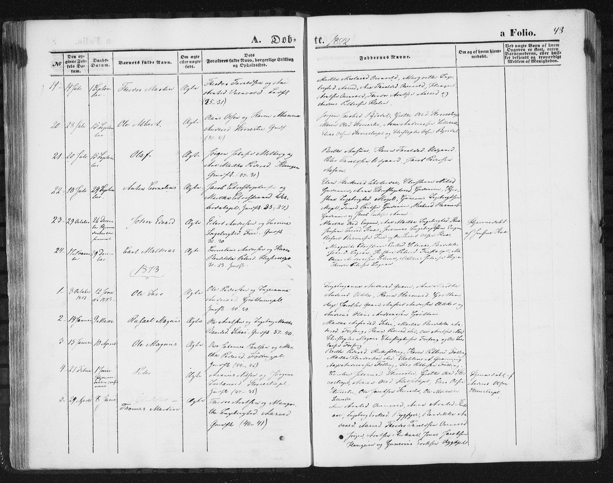 Ministerialprotokoller, klokkerbøker og fødselsregistre - Nord-Trøndelag, AV/SAT-A-1458/746/L0447: Parish register (official) no. 746A06, 1860-1877, p. 43