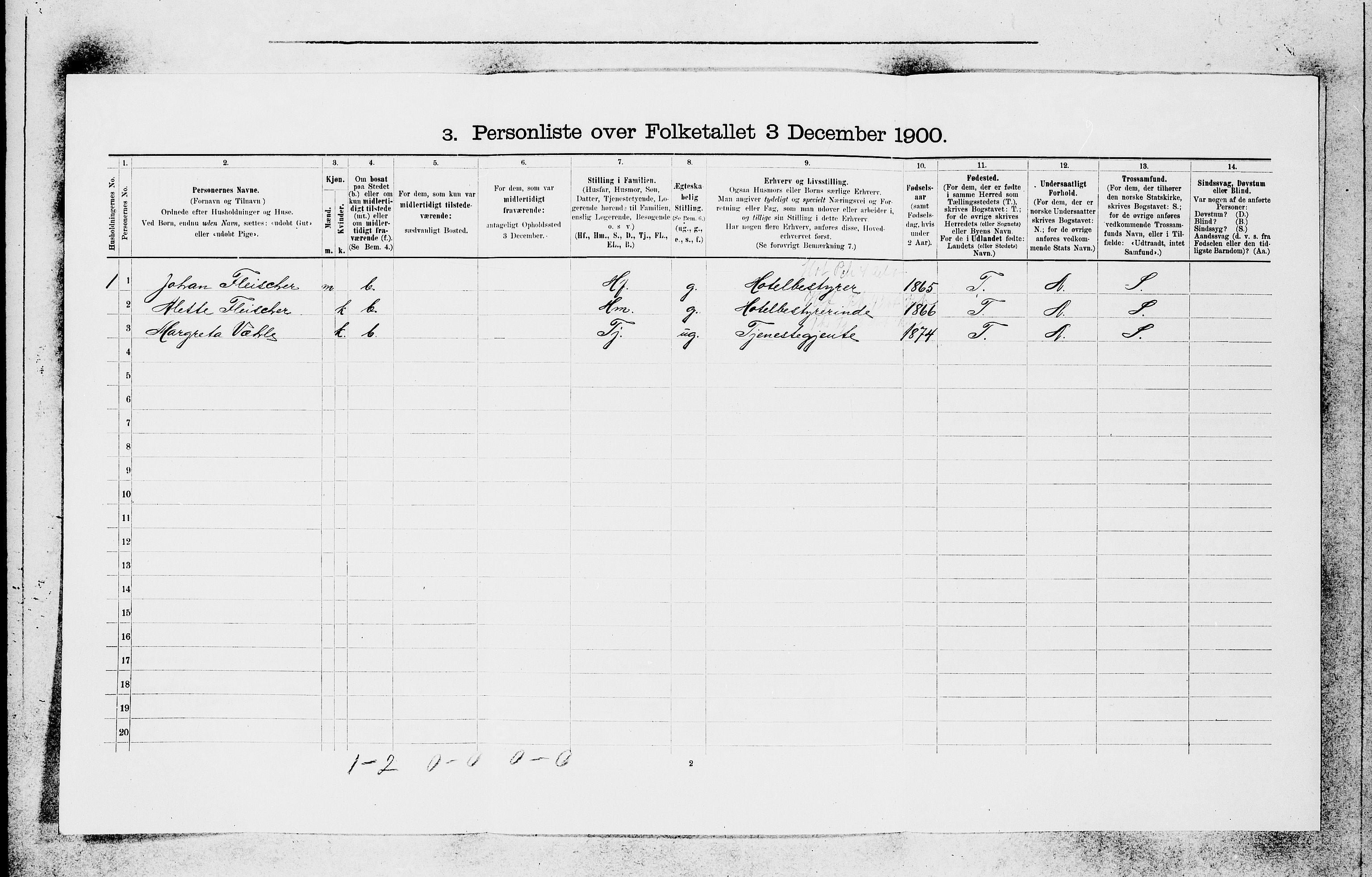 SAB, 1900 census for Voss, 1900, p. 491